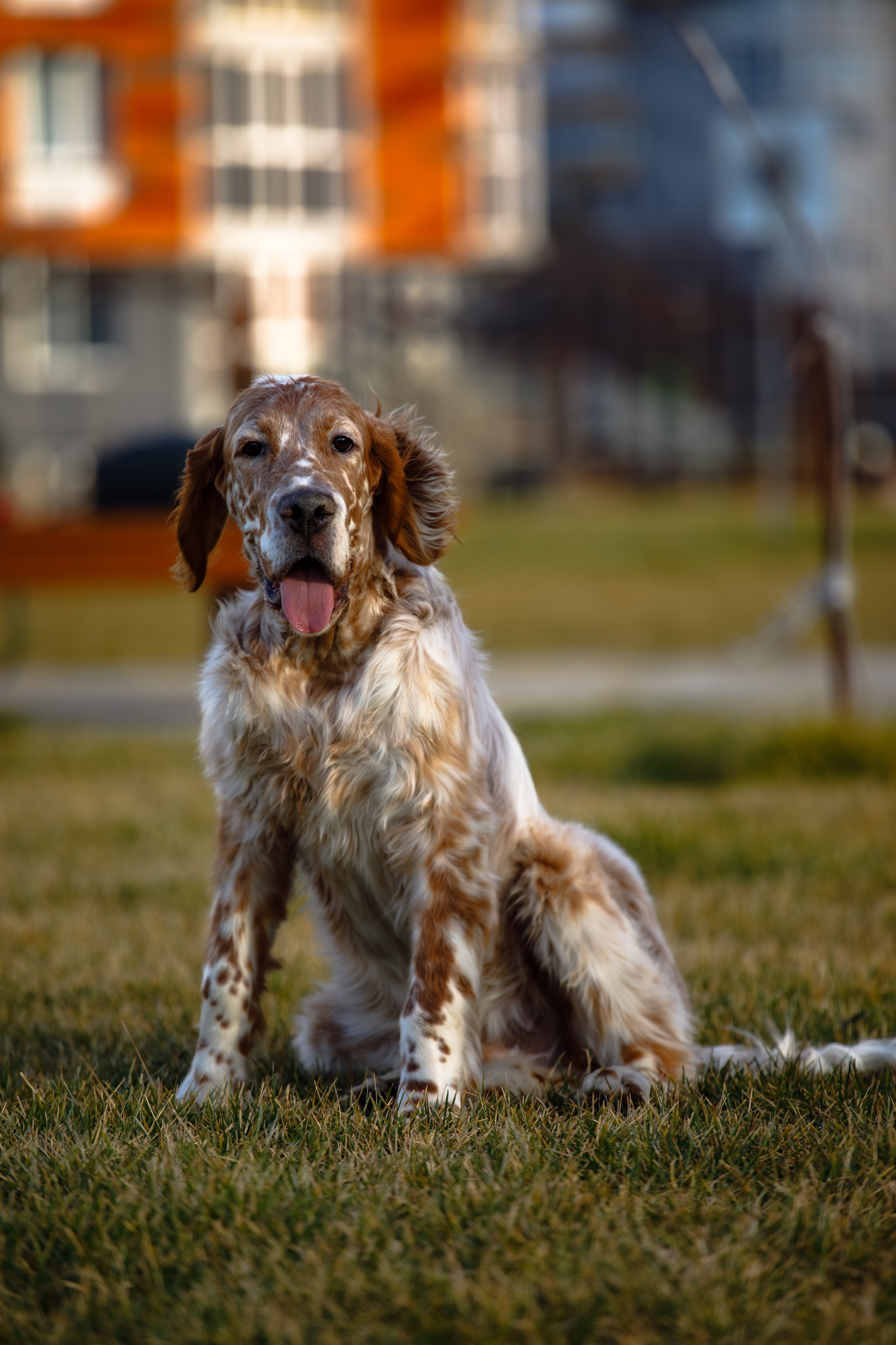 Андрей и Милан. Фотограф Екатерина Козловская