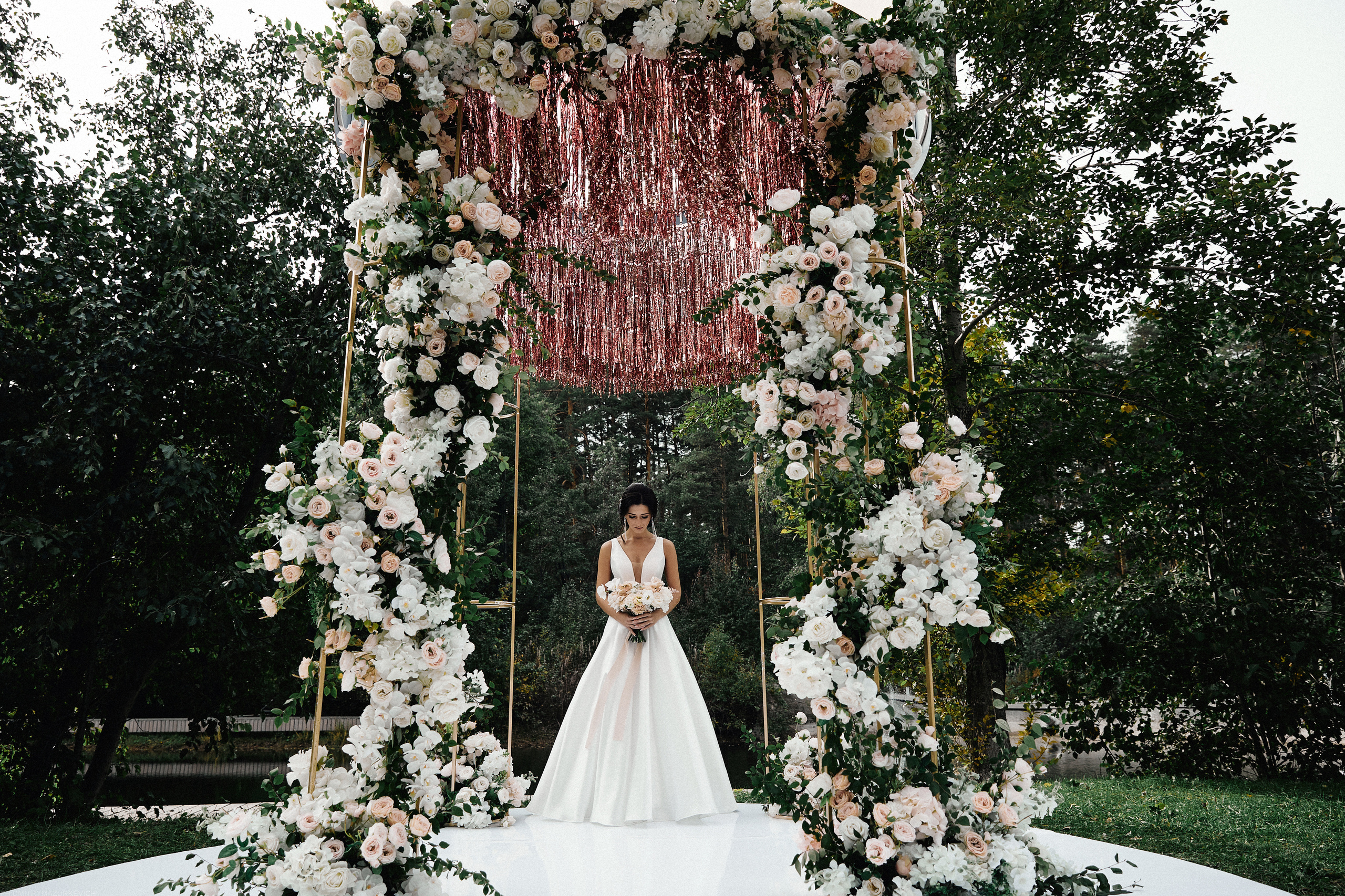 SPARKLING ROSE. Дмитрий Мазуркевич: Профессиональный Репортажный Фотограф