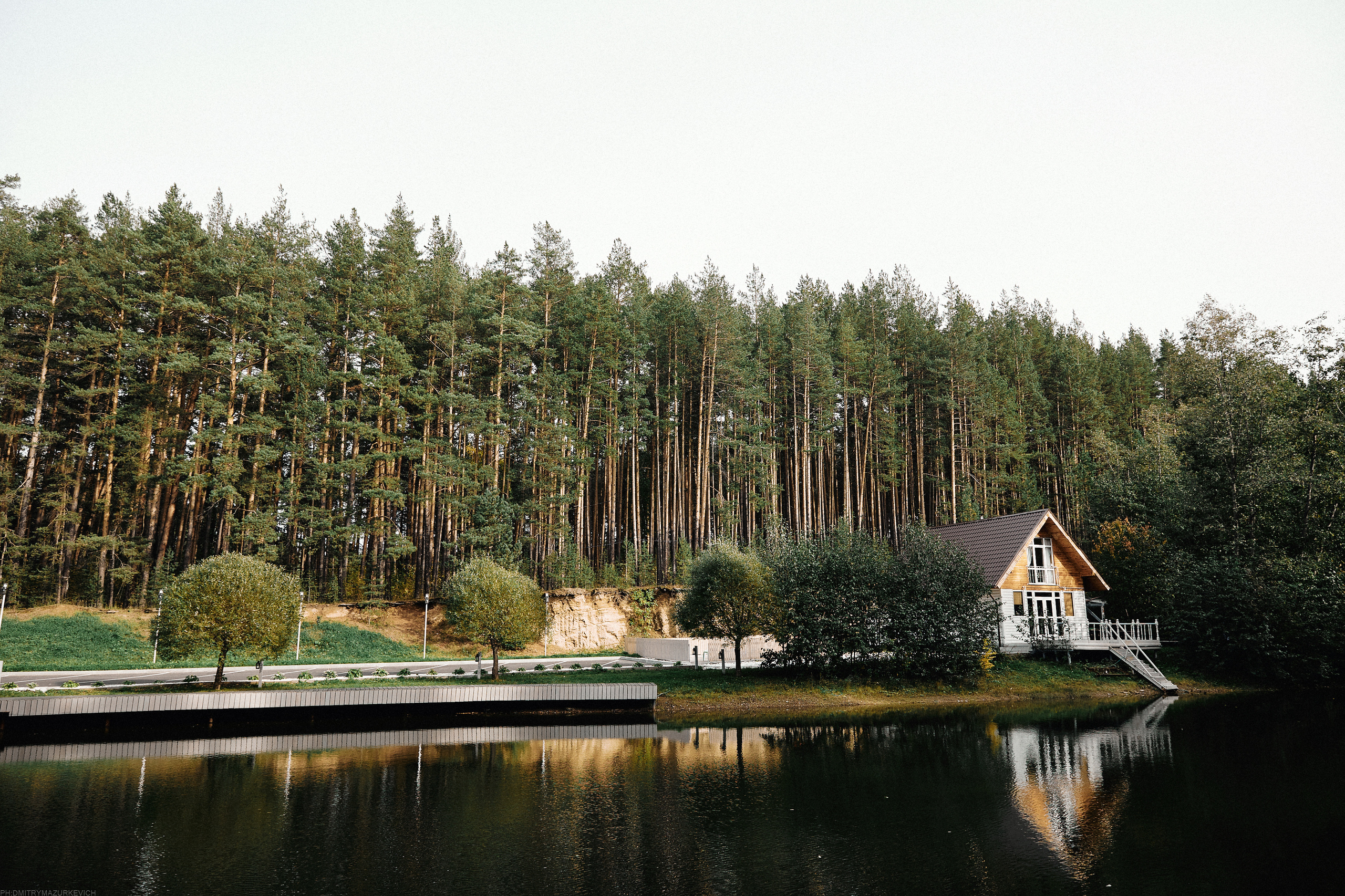 SPARKLING ROSE. Дмитрий Мазуркевич: Профессиональный Репортажный Фотограф
