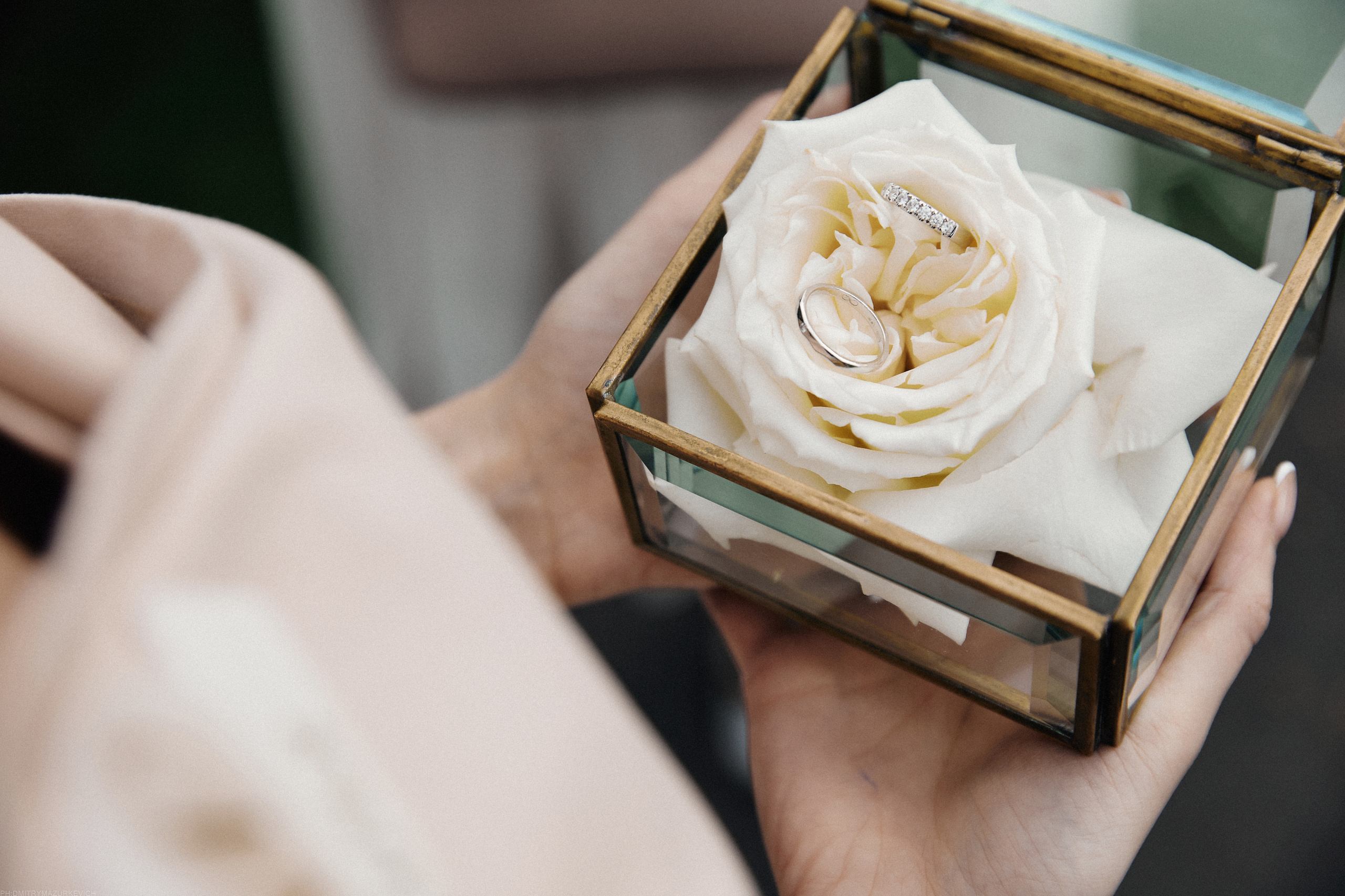 SPARKLING ROSE. Дмитрий Мазуркевич: Профессиональный Репортажный Фотограф