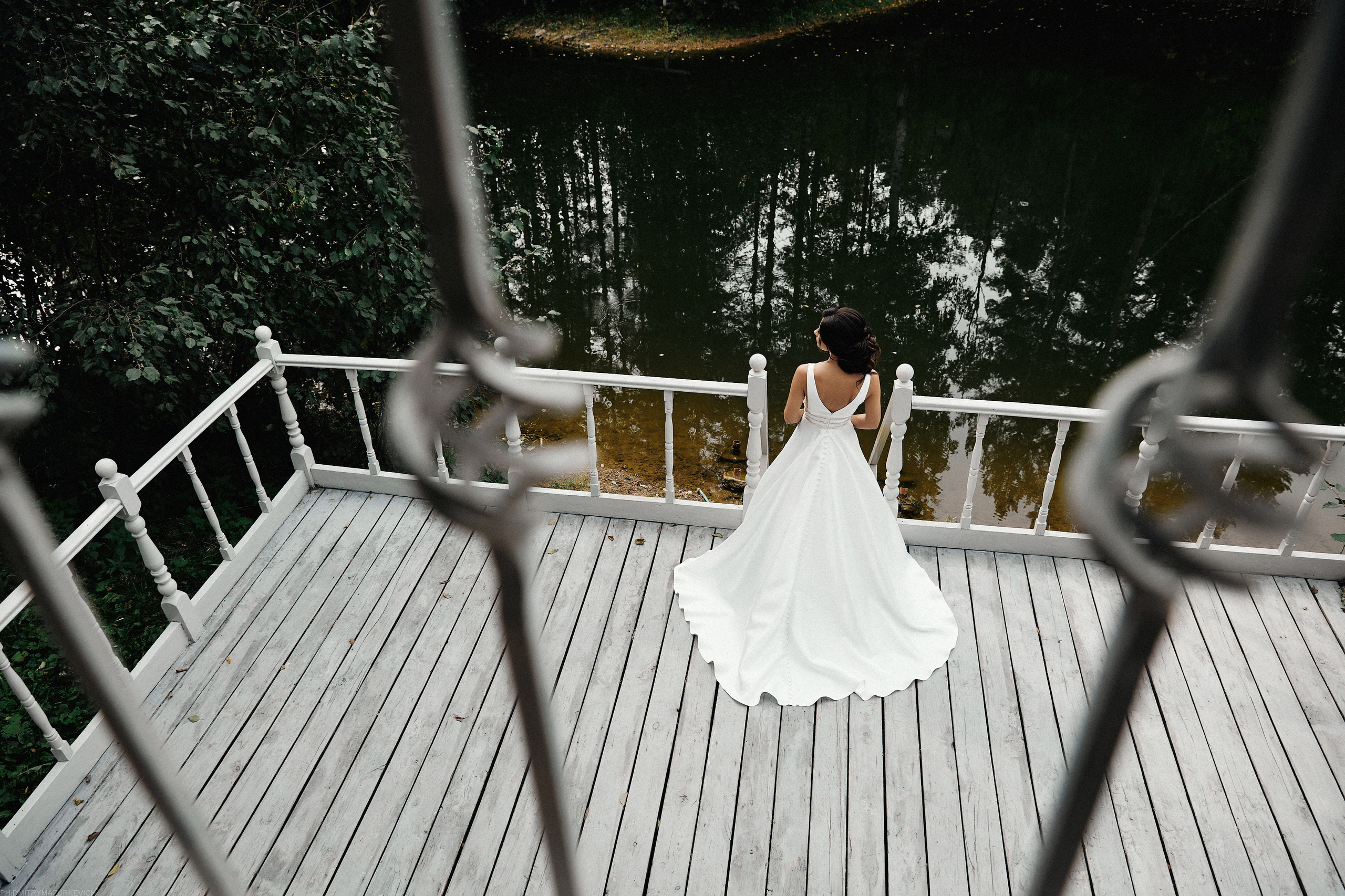 SPARKLING ROSE. Дмитрий Мазуркевич: Профессиональный Репортажный Фотограф