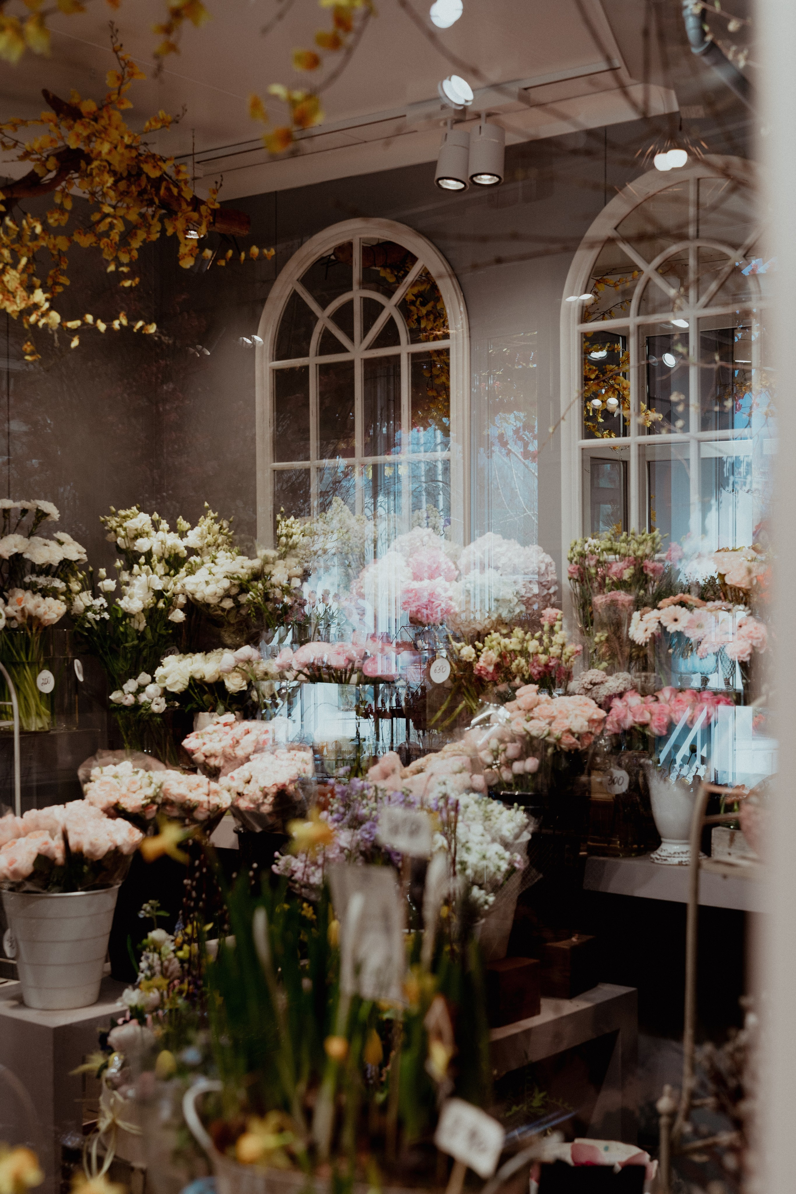 Регион холод. Елена Пашкевич, фотограф, Москва