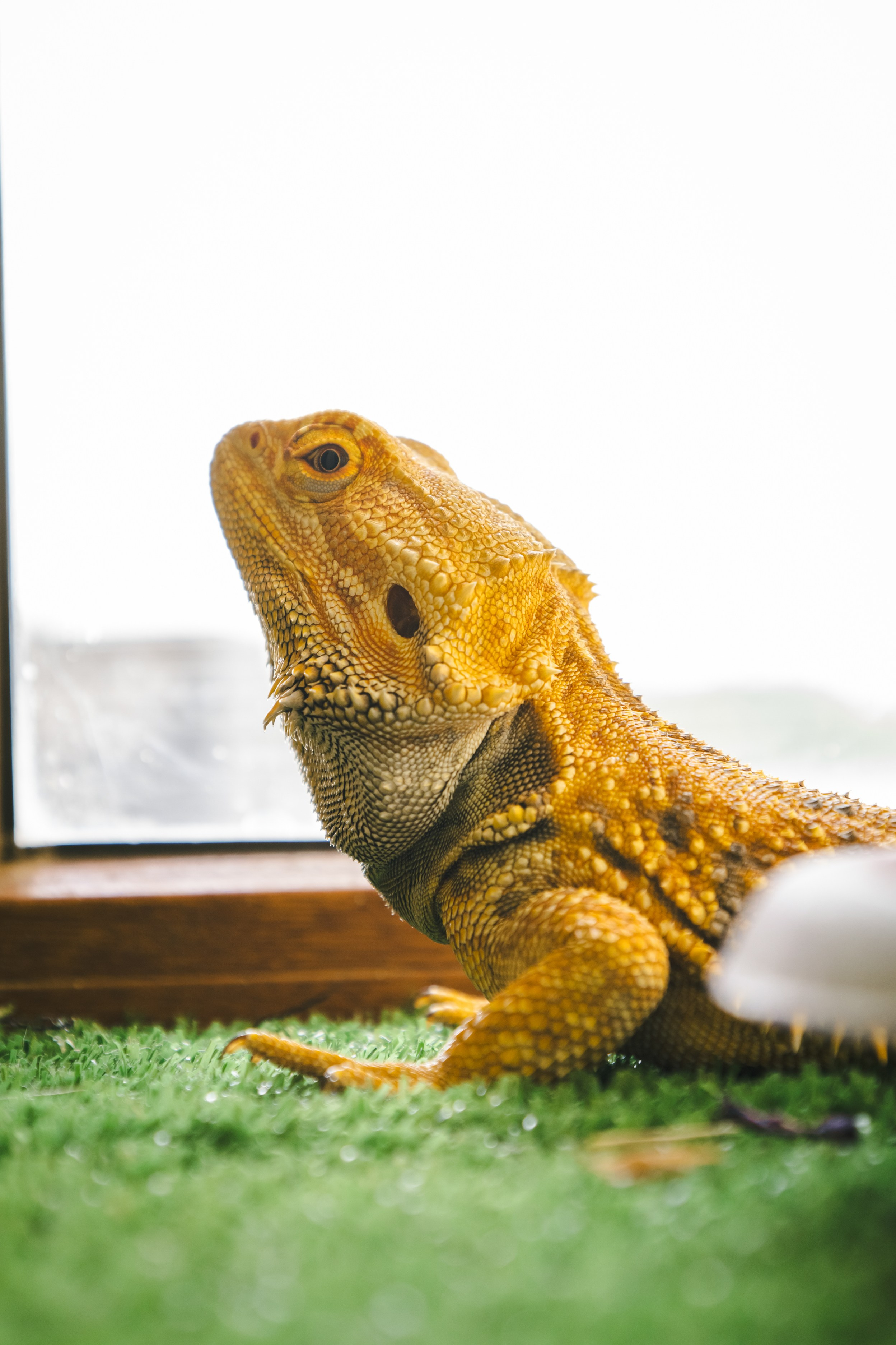 ComeBack «Stray Kids». Фотограф твоих воспоминаний | Алексей Алексеев