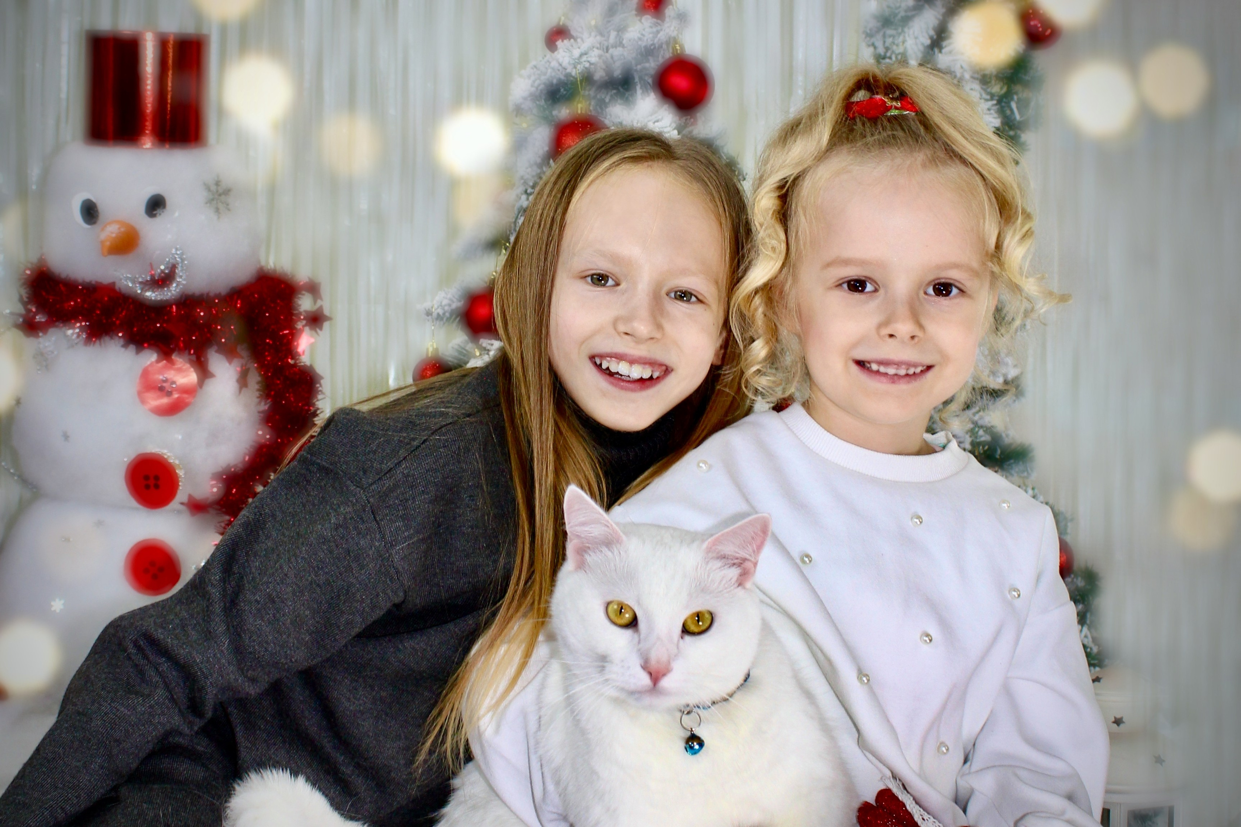 Скоро Новый Год. Портфолио