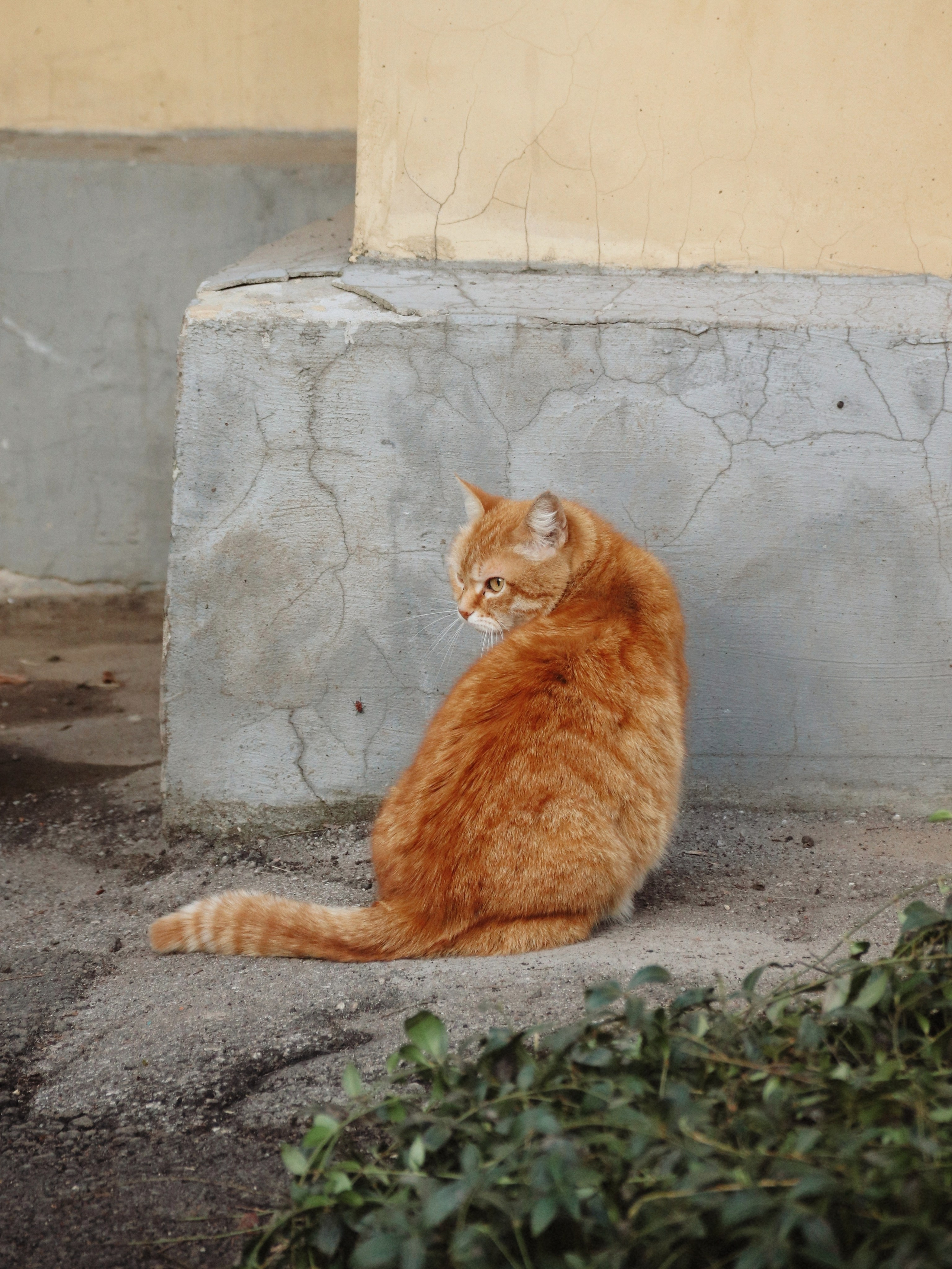 Уличные модели. С любовью, фотохудожник
