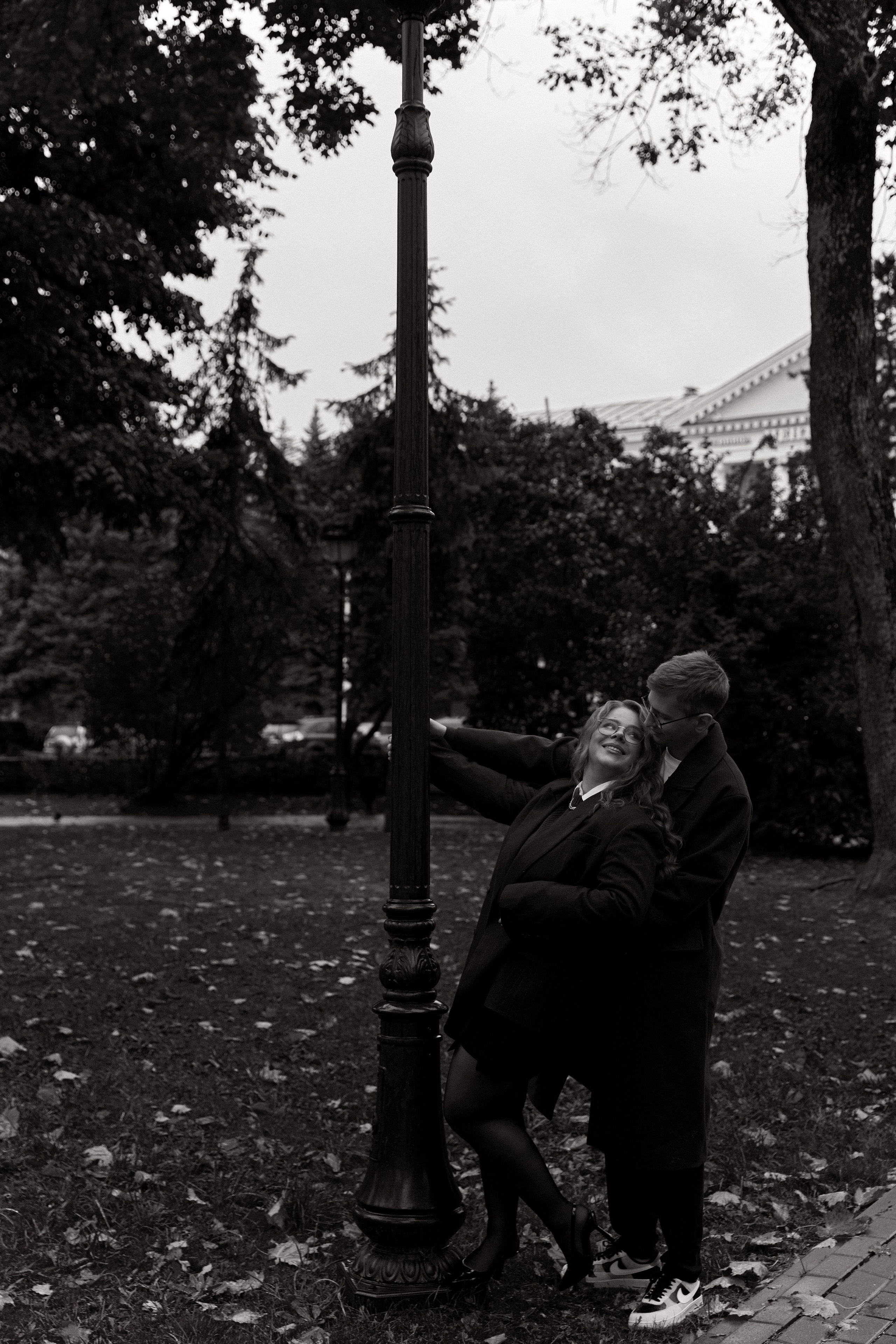 Подсолнухи