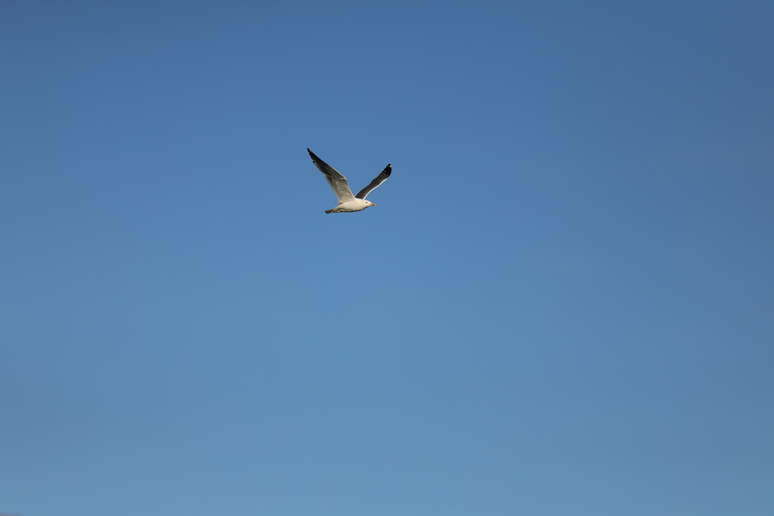 Фестиваль по фридайвингу «Глубина Путорана». Спортивный репортажный фотограф Казань Нафис Сиразетдинов