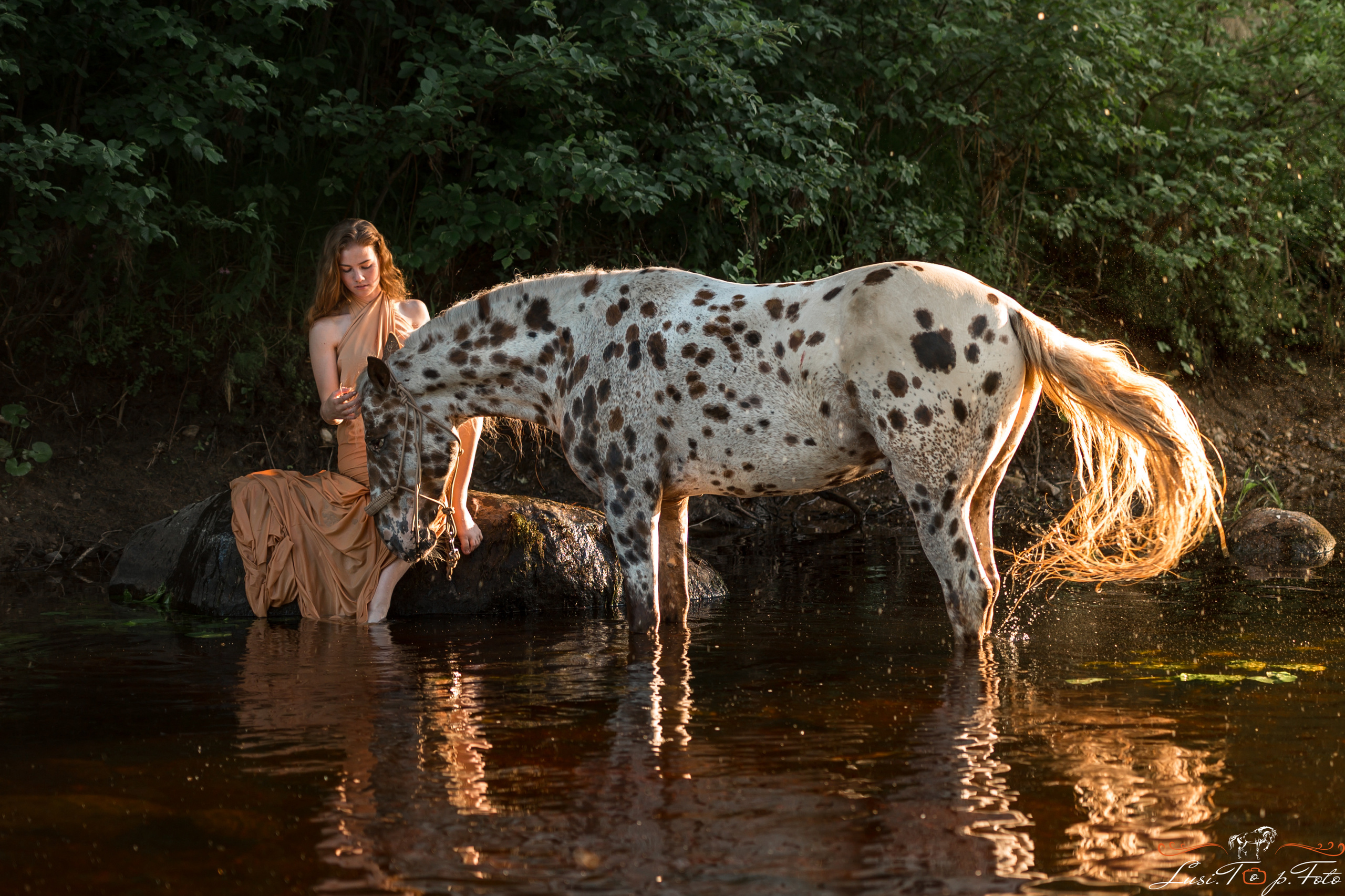 Фотосессии с лошадьми. Конный и фотограф с животными в Твери Топталова Люся