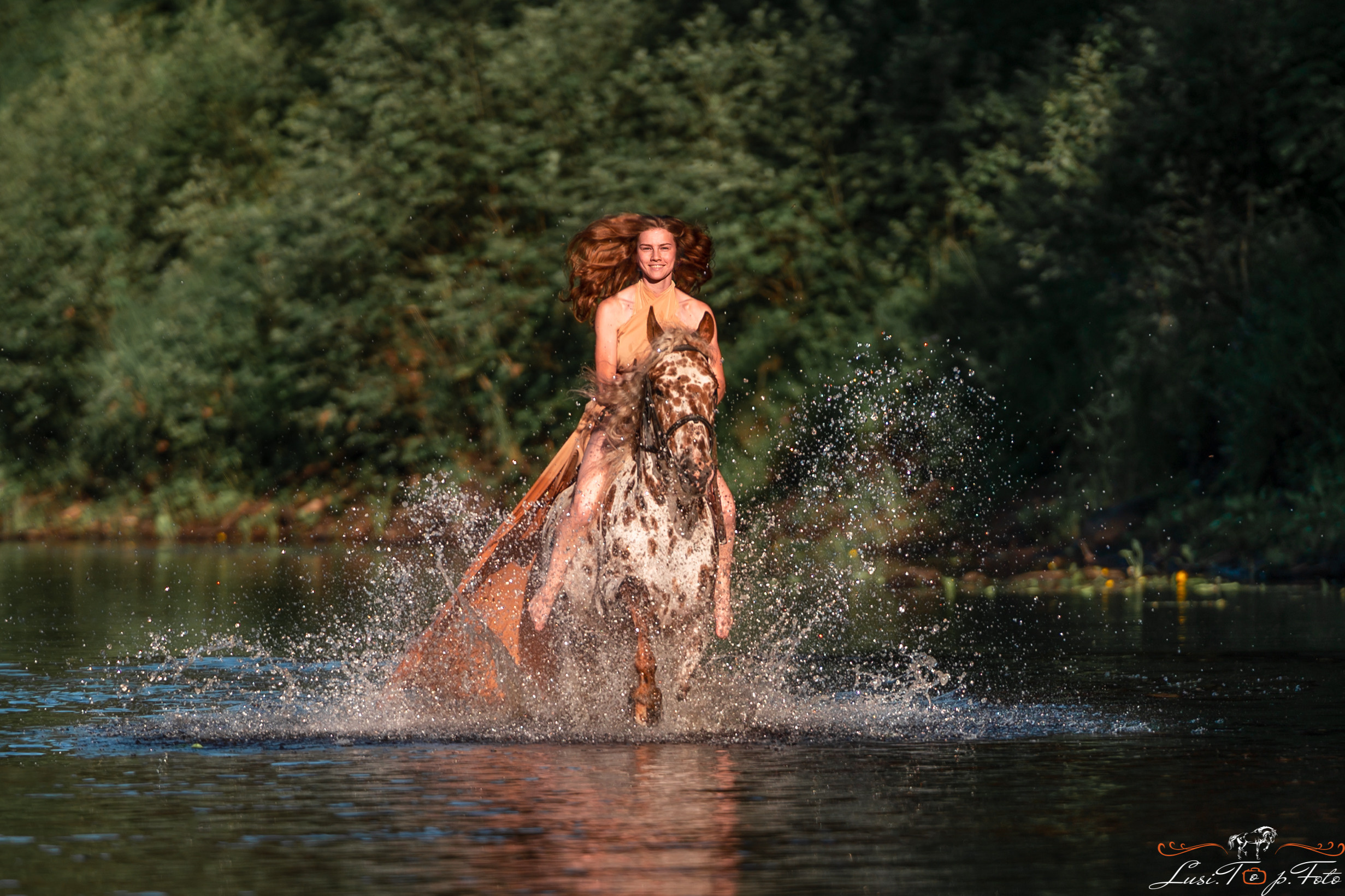 Фотосессии с лошадьми. Конный и фотограф с животными в Твери Топталова Люся