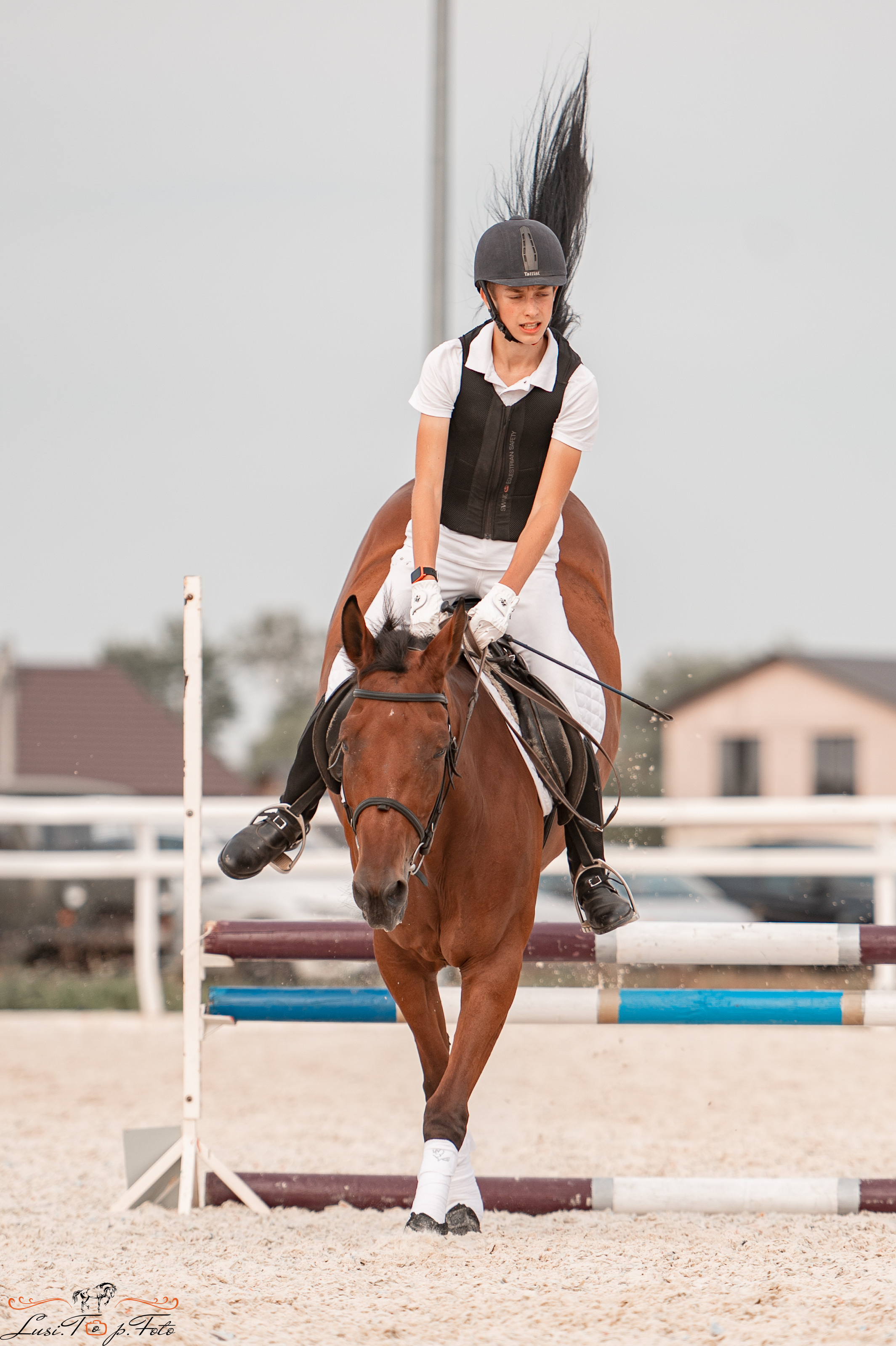 Соревнования. Конный и фотограф с животными в Твери Топталова Люся