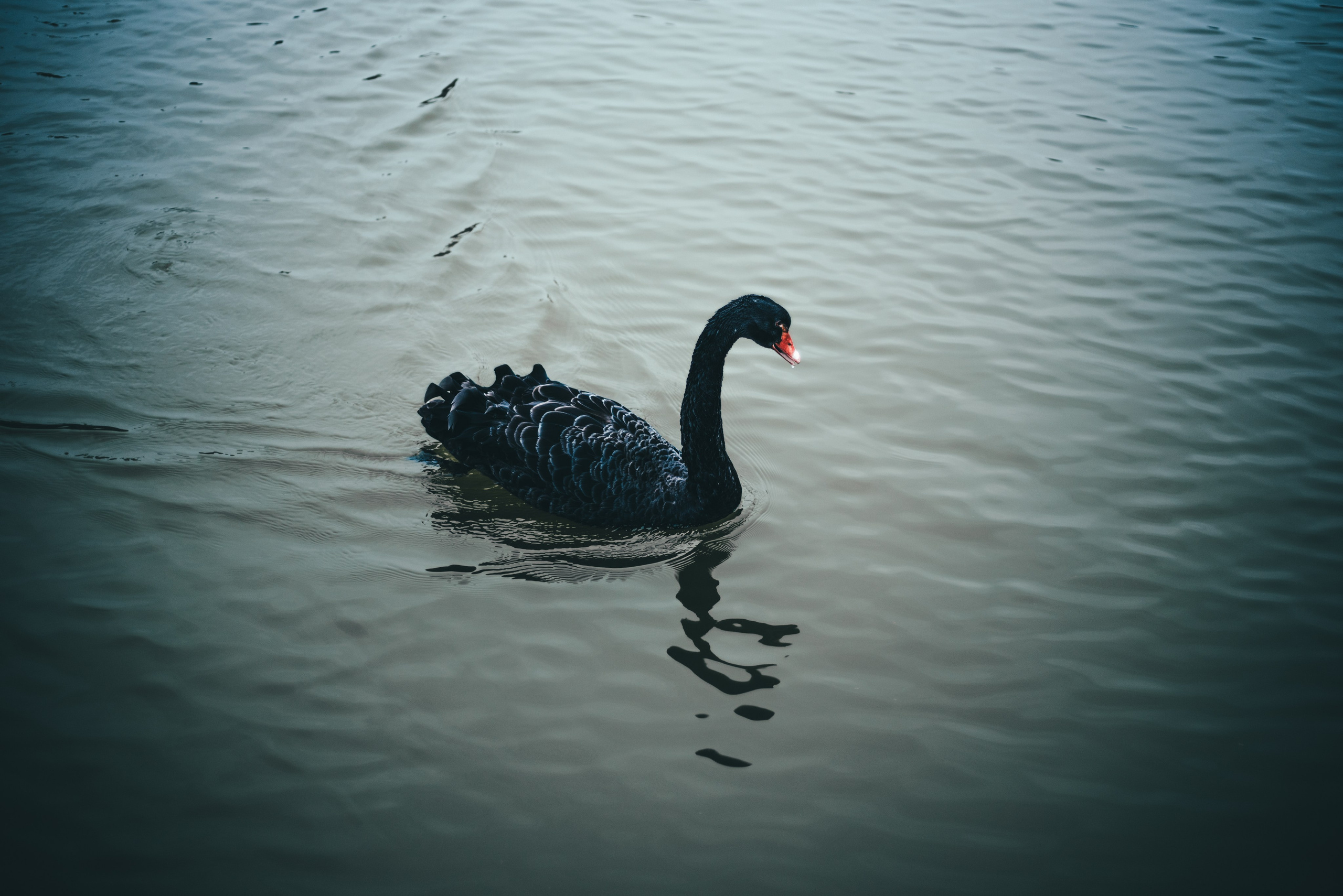 Путешествие по Китаю рекламного фотографа из Гуанчжоу. Коммерческий и предметный фотограф в Гуанчжоу Коваленко Александр