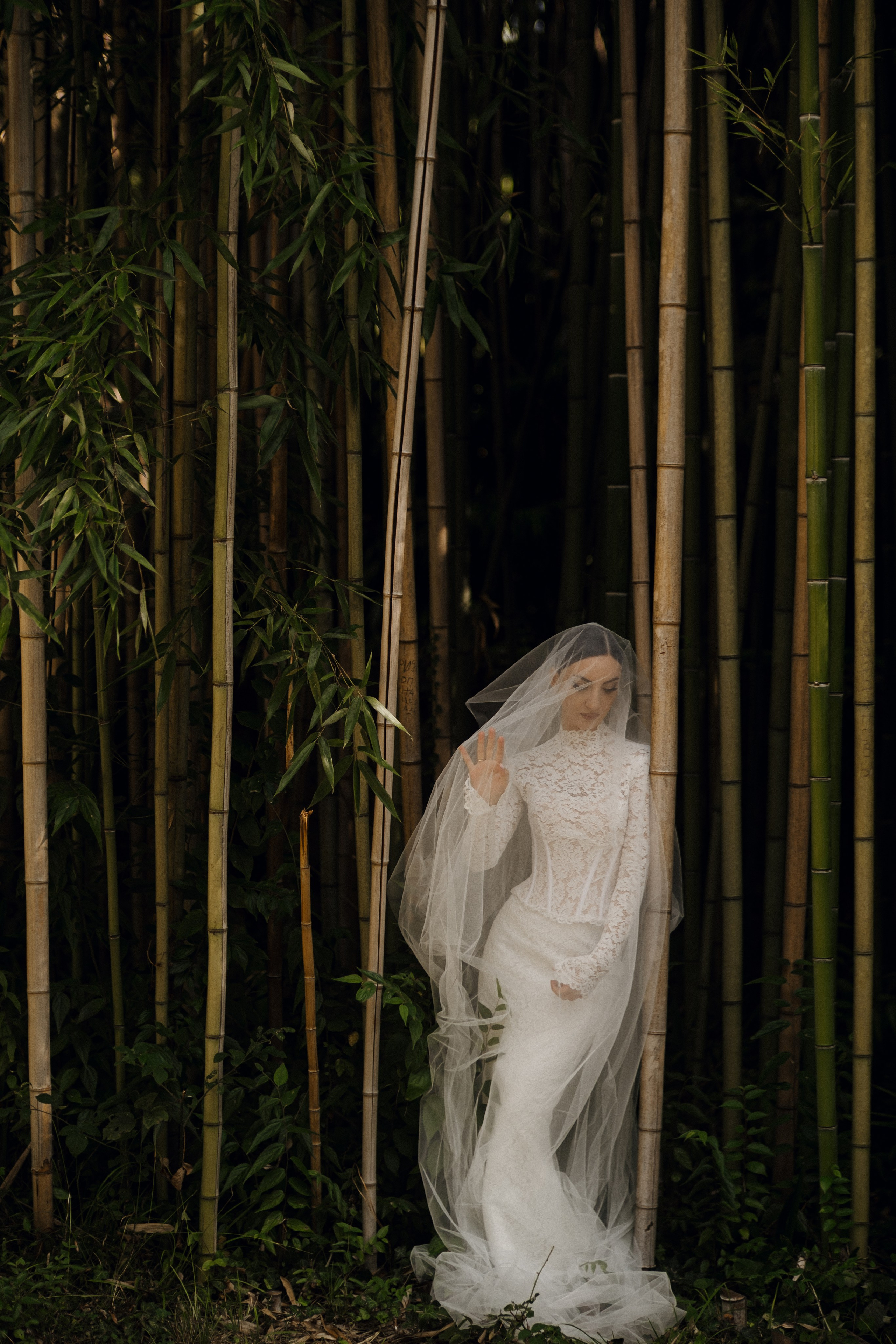 Abkhazia: Lola&Kemal. Сентиментальная свадебная фотография