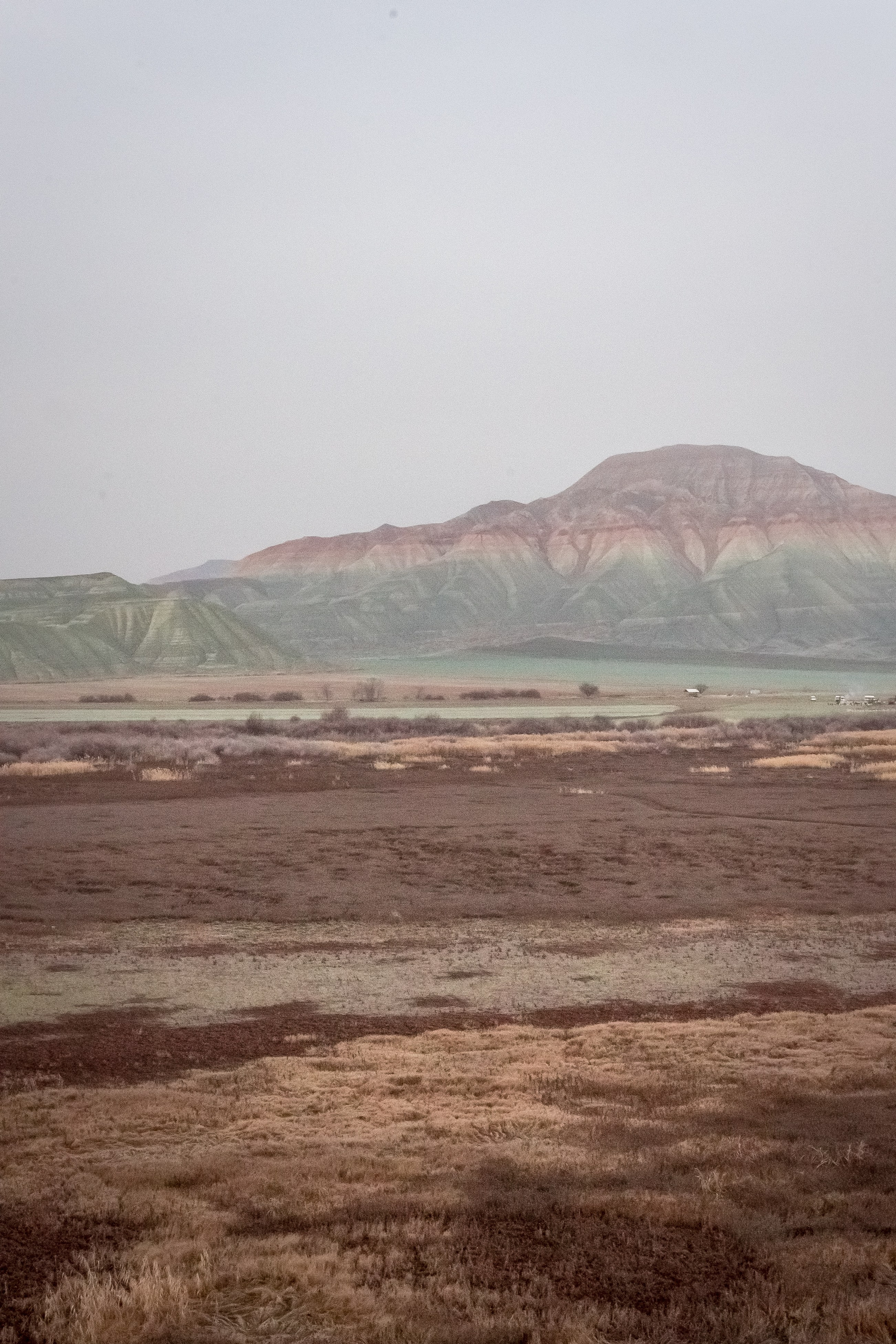 Турция, Птичий заповедник Наллихан. Юля Дэй • Фотограф, Санкт-Петербург