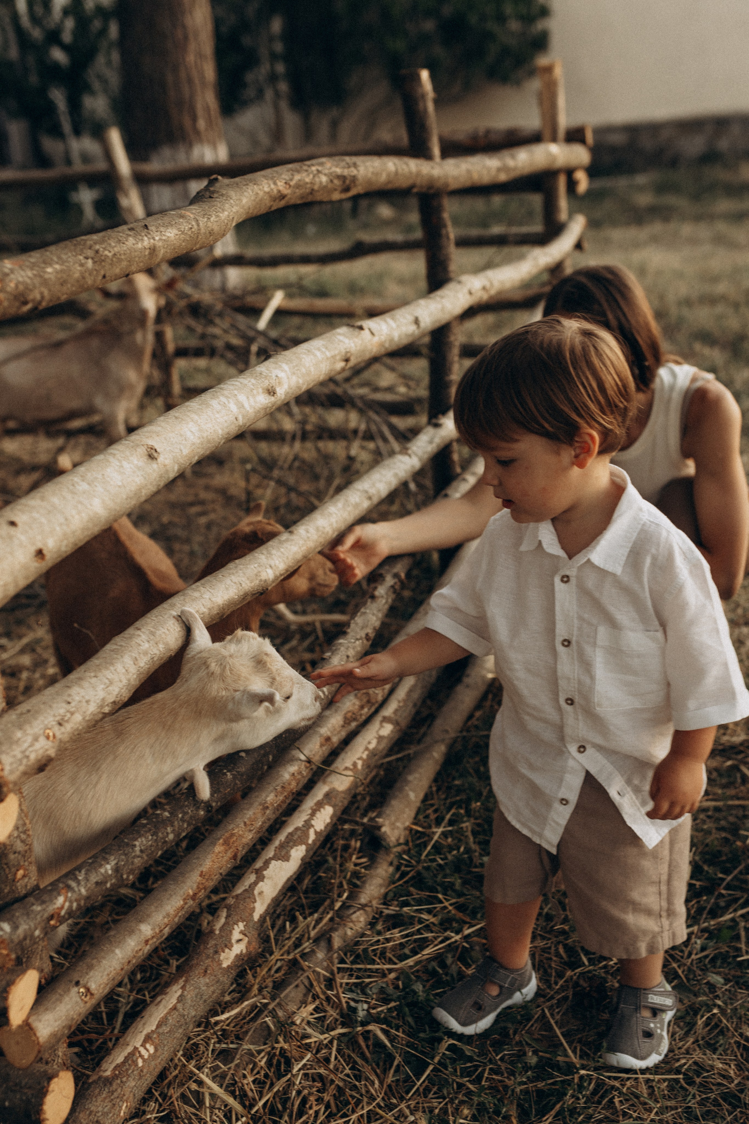Миша Таня и Лев на ферме. Семейный фотограф в Новороссийске и Анапе Александра Яковлева
