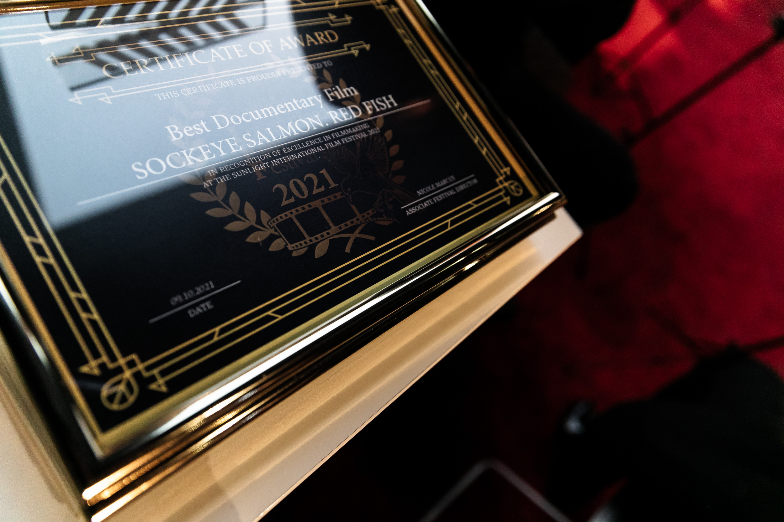 Sunlight International Film Festival. Фотограф Арсений Гуров