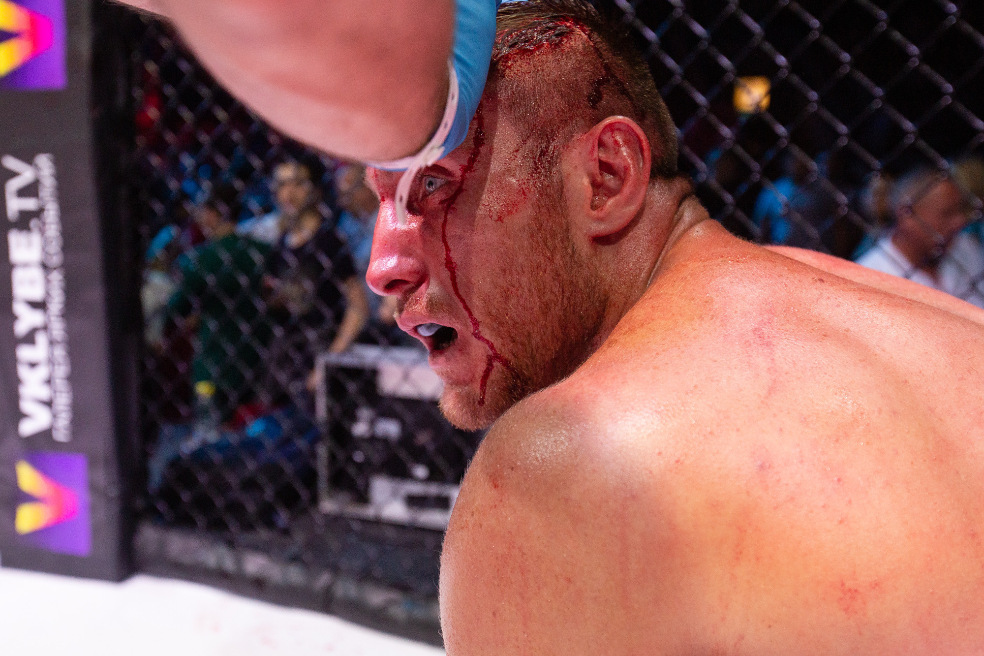 Fight Nights Global. Фотограф Арсений Гуров