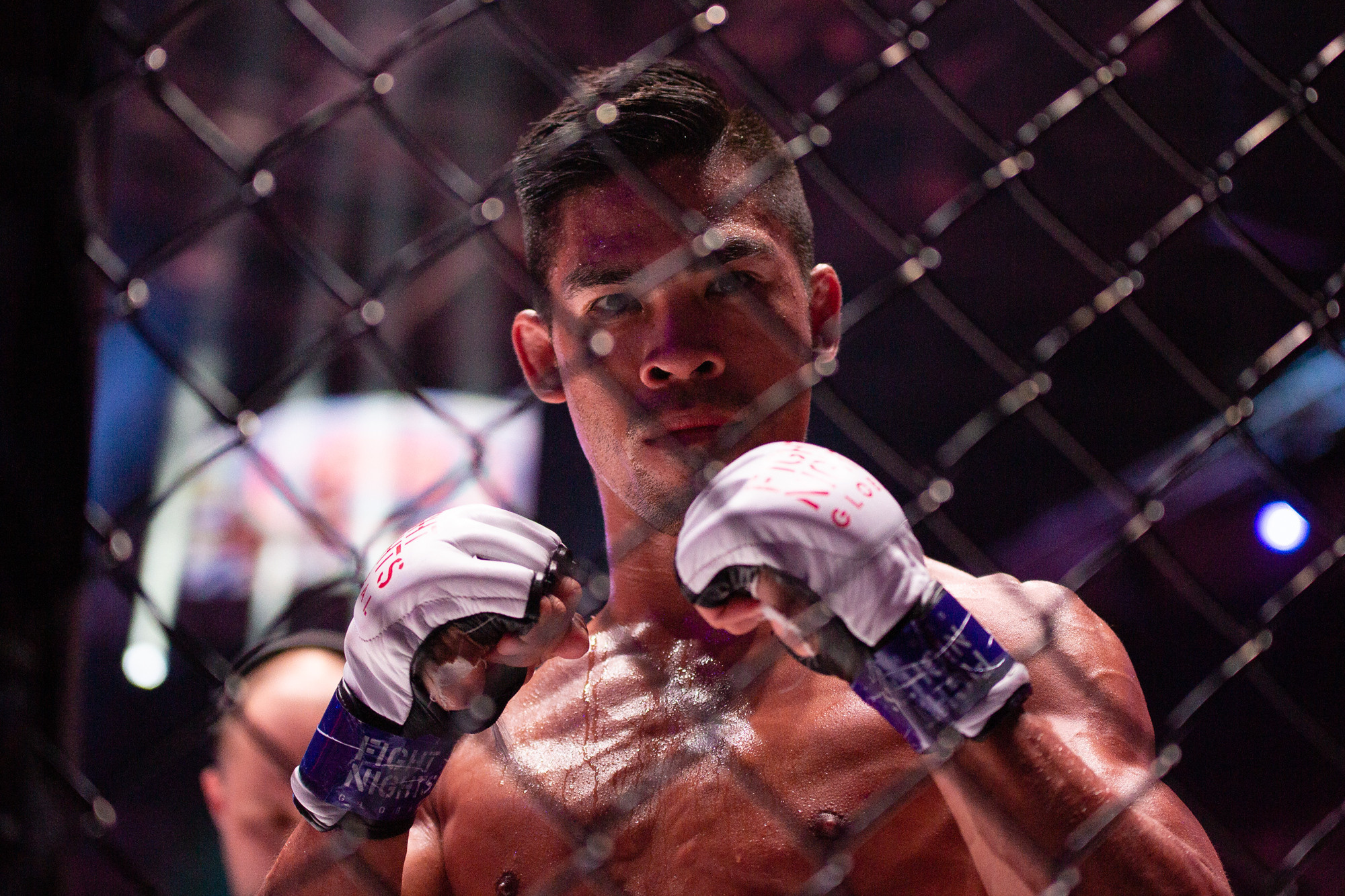 Fight Nights Global. Фотограф Арсений Гуров