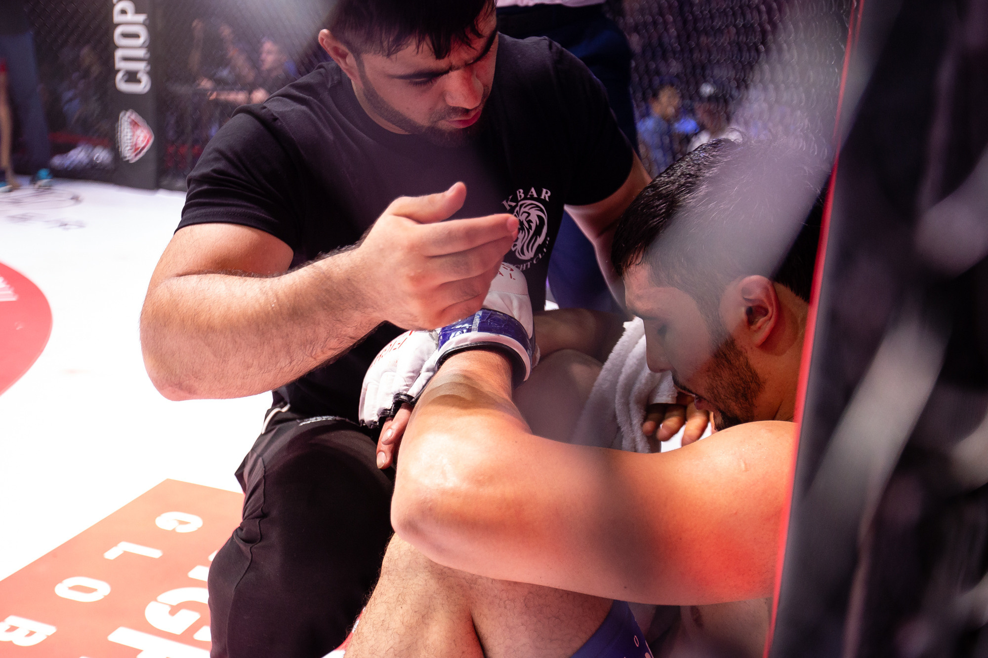 Fight Nights Global. Фотограф Арсений Гуров