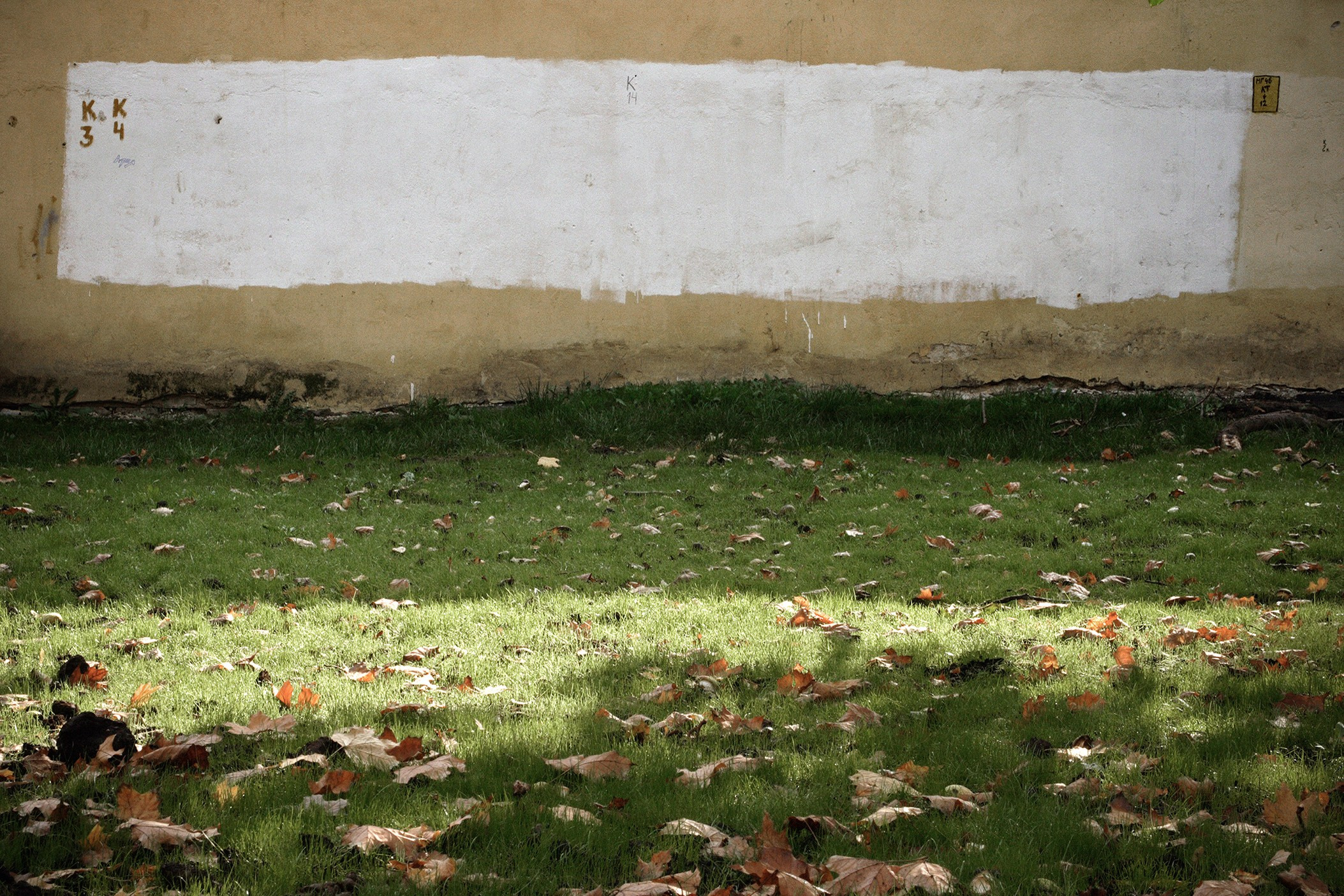 Симуляторы (Каталог № 1). Главная