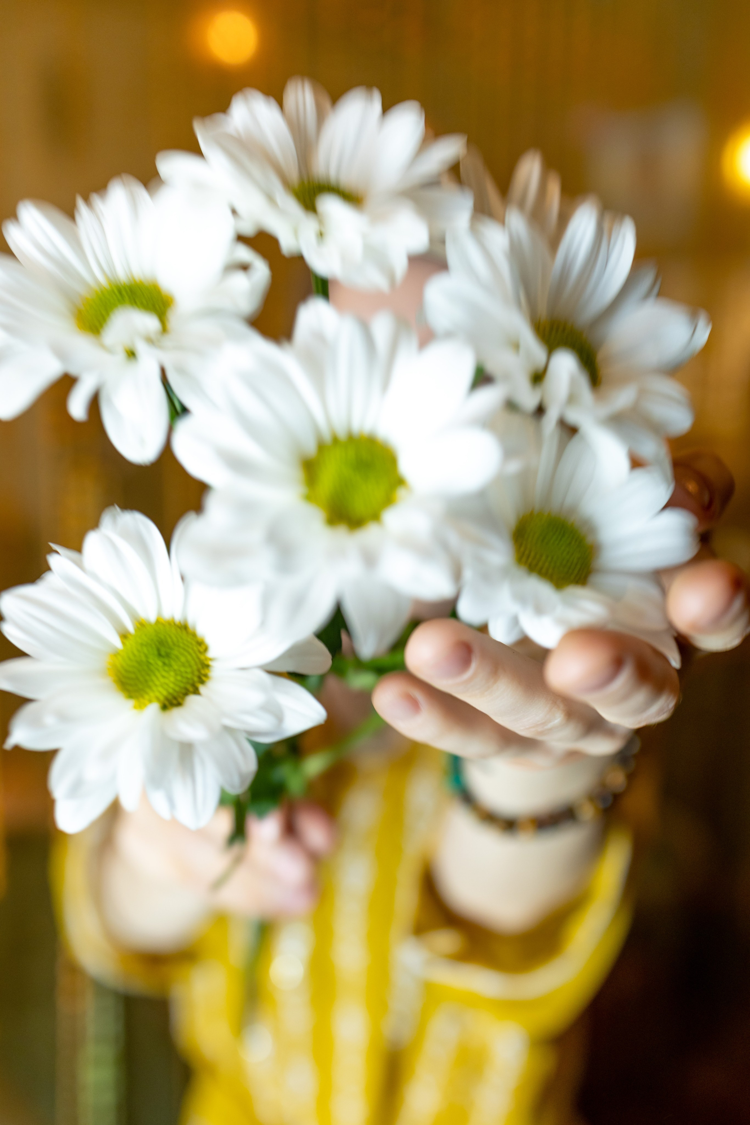 Красавицы Кашмира Спб