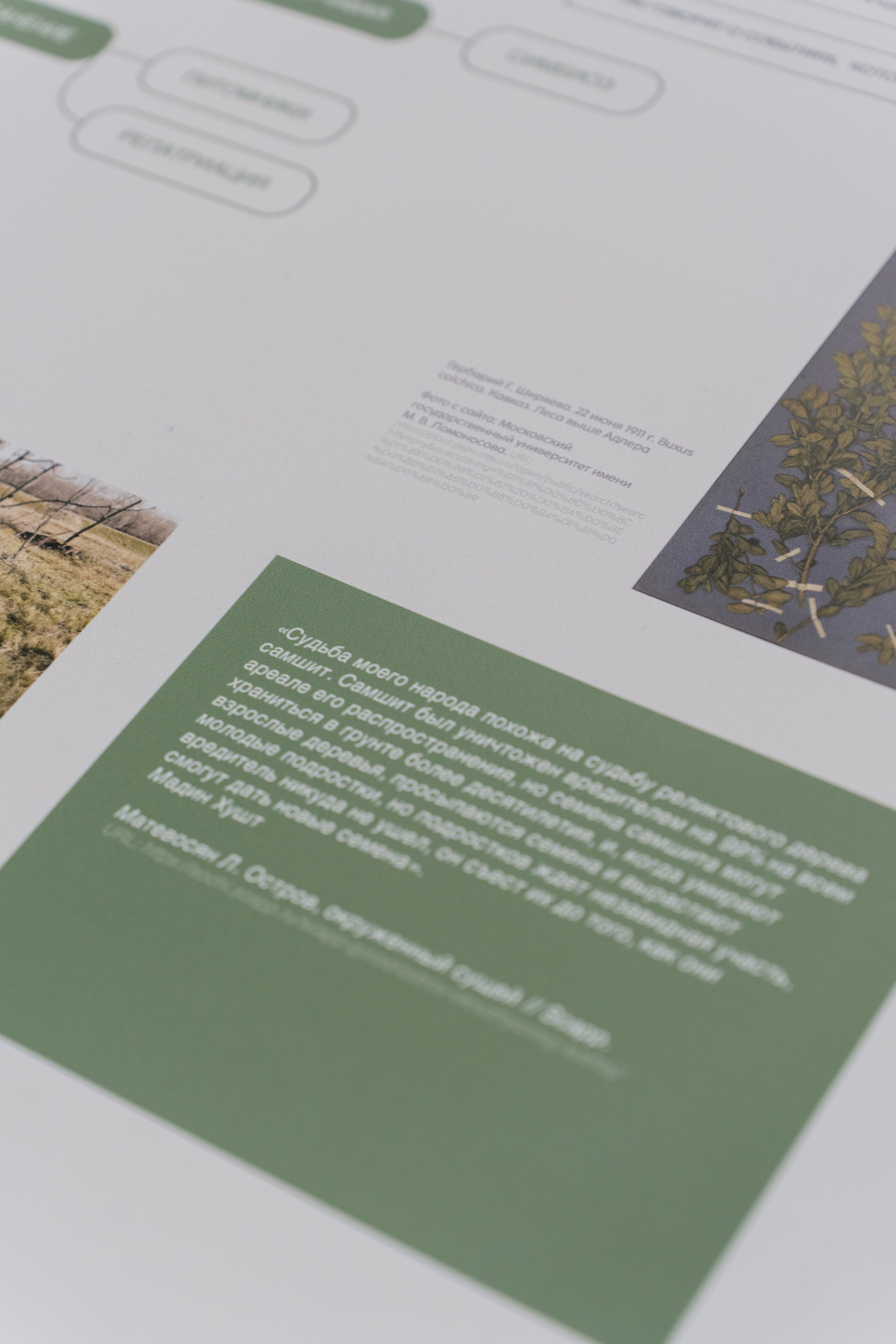 An Island Surrounded by Land. HOME