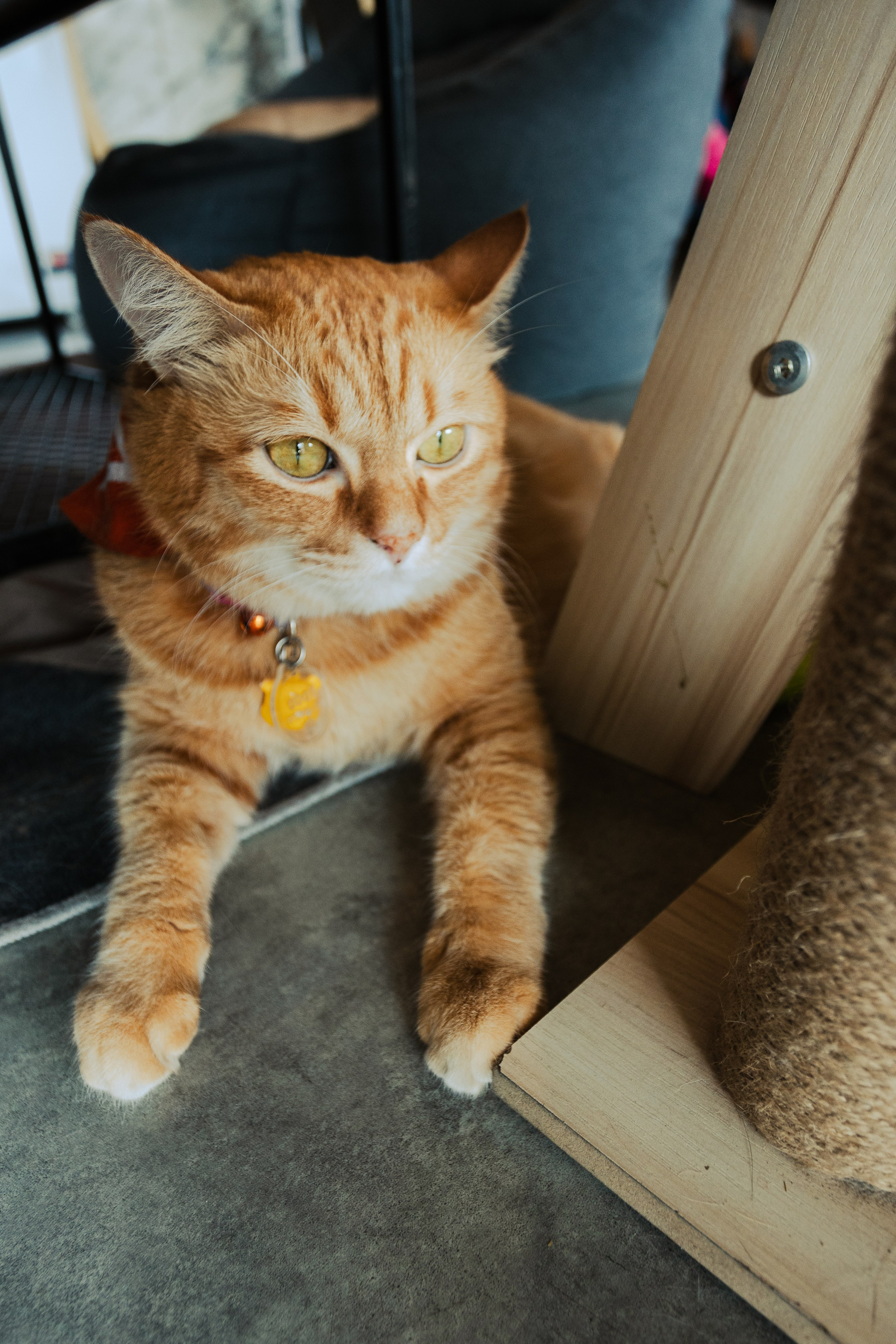 Cazz Cafe. Фотограф Сонкина Татьяна