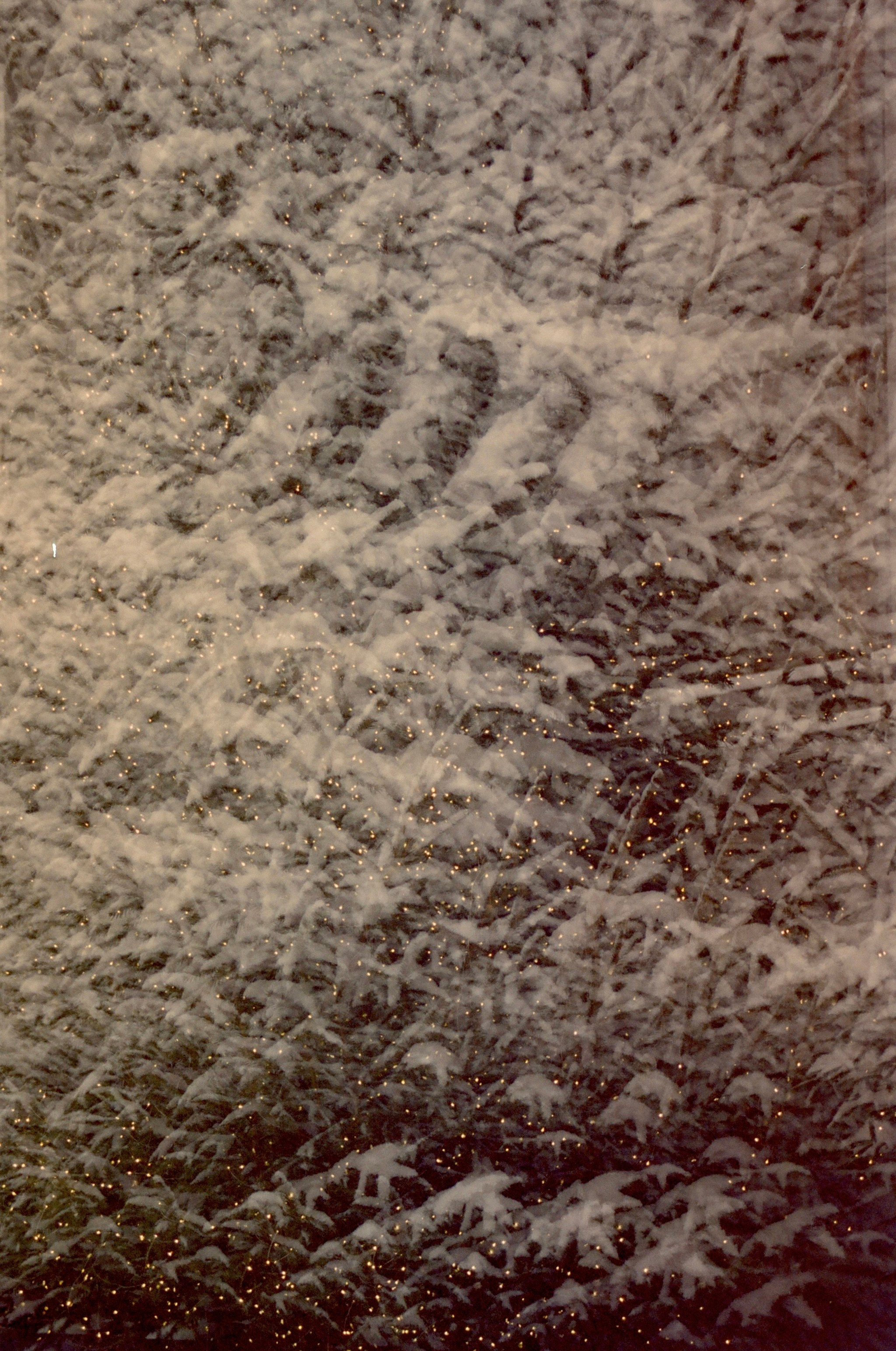 Автор: Елизавета Митенкова