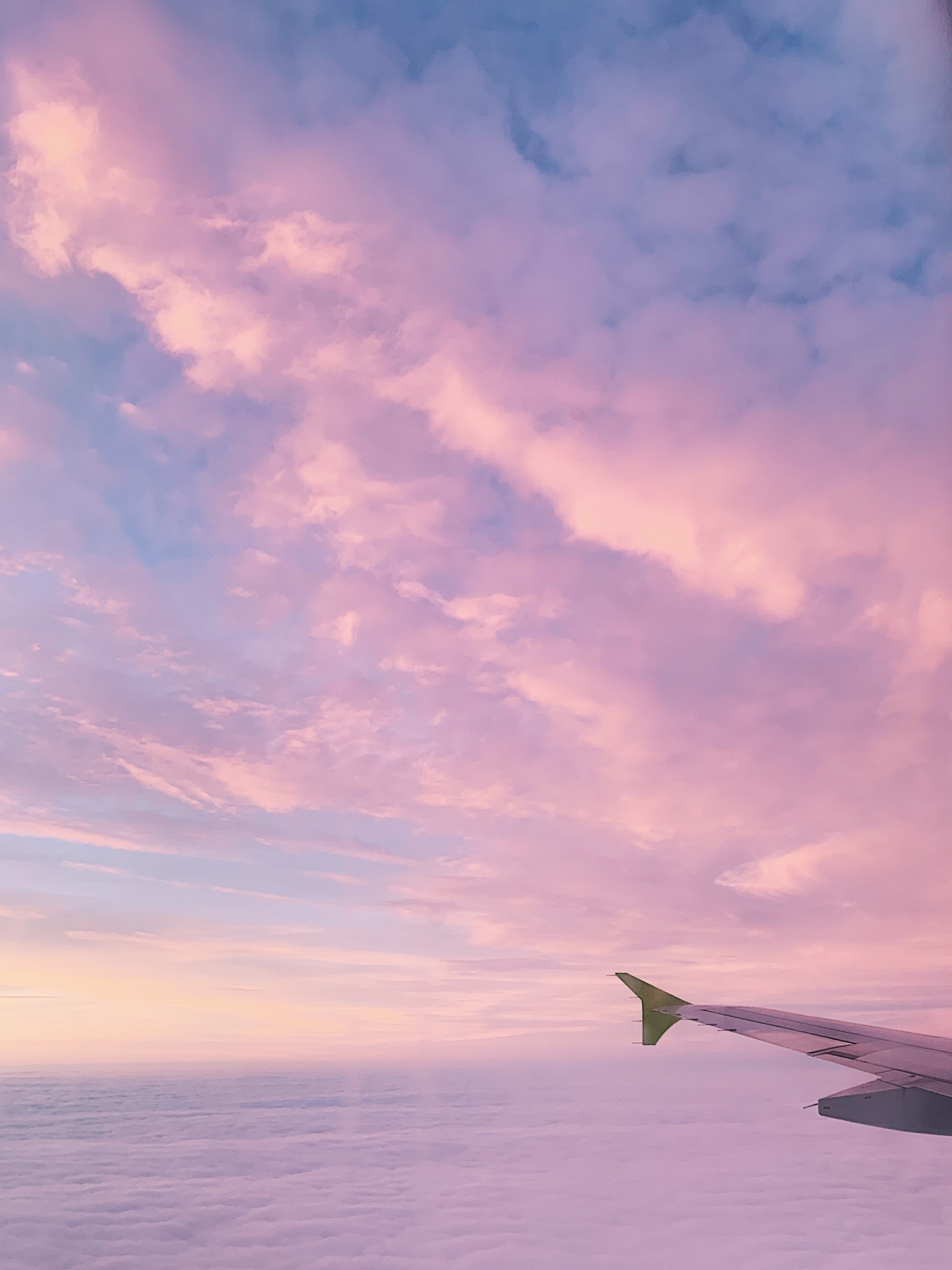 Автор: Екатерина Тимофеенко