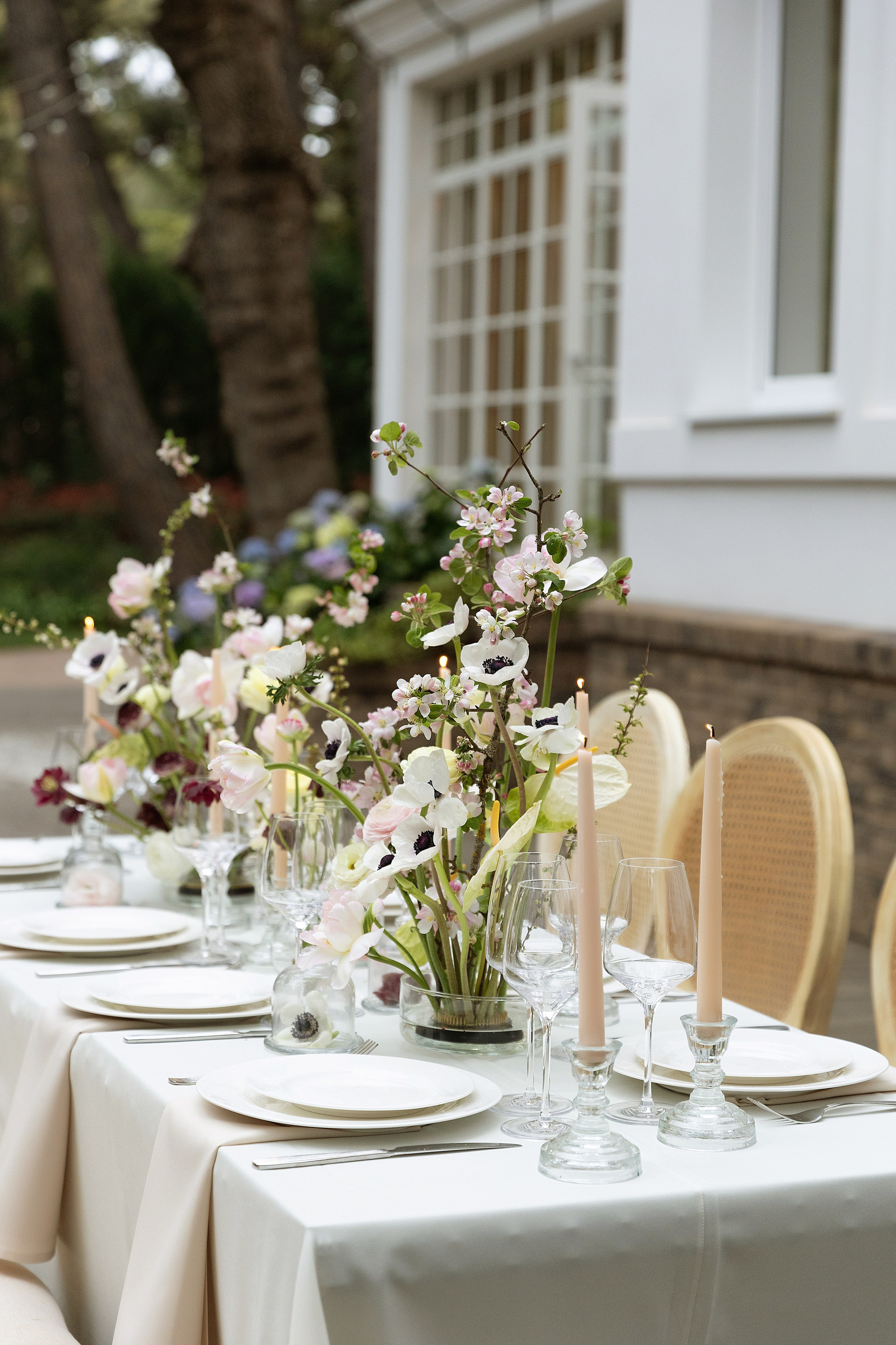 A&A. Аксанна Аракелян