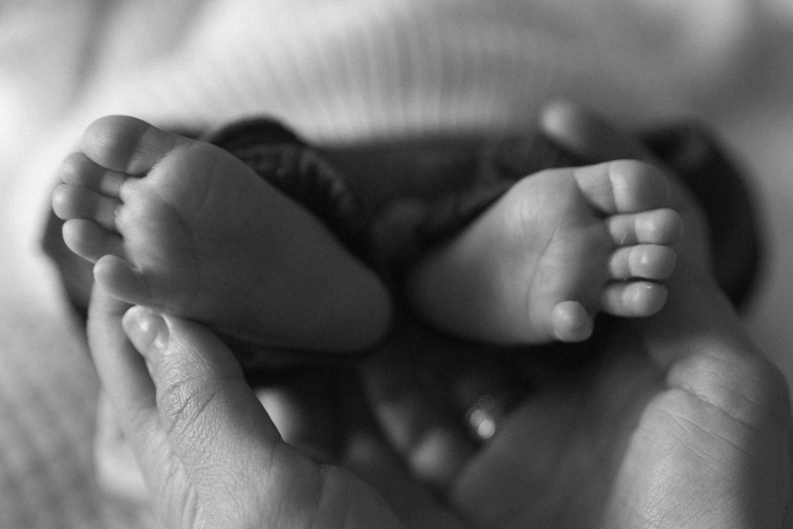 Ефимия, Евгений и Лука. Фотограф в Москве и МО Елизавета Якубенко