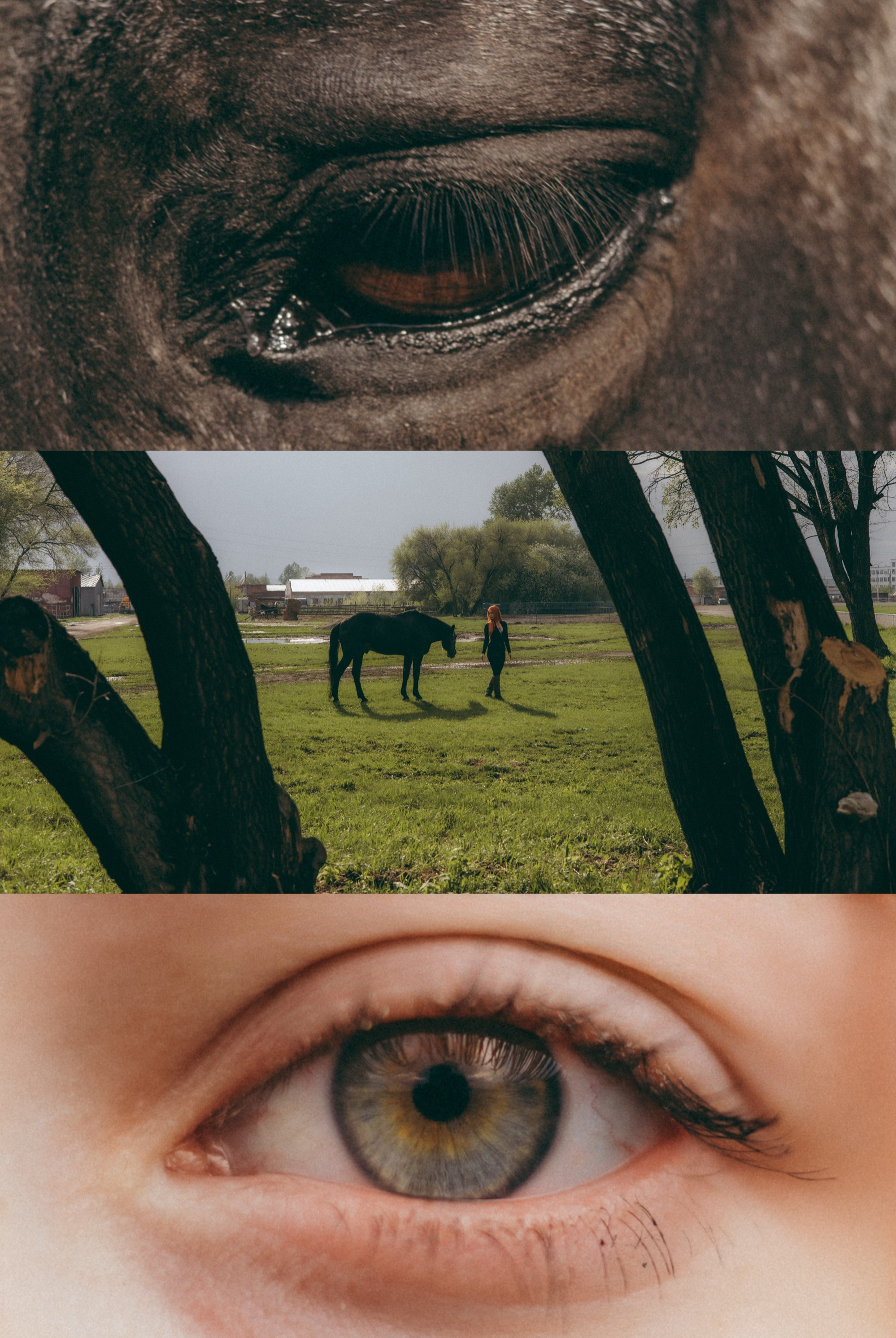 Анна. Фотограф в Новосибирске Исаева Алина