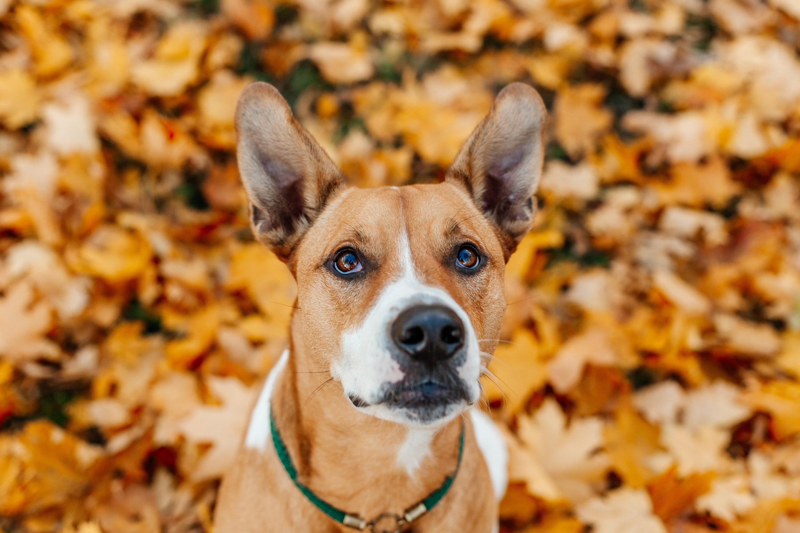 Фотограф Краснодар Марго Хелбен