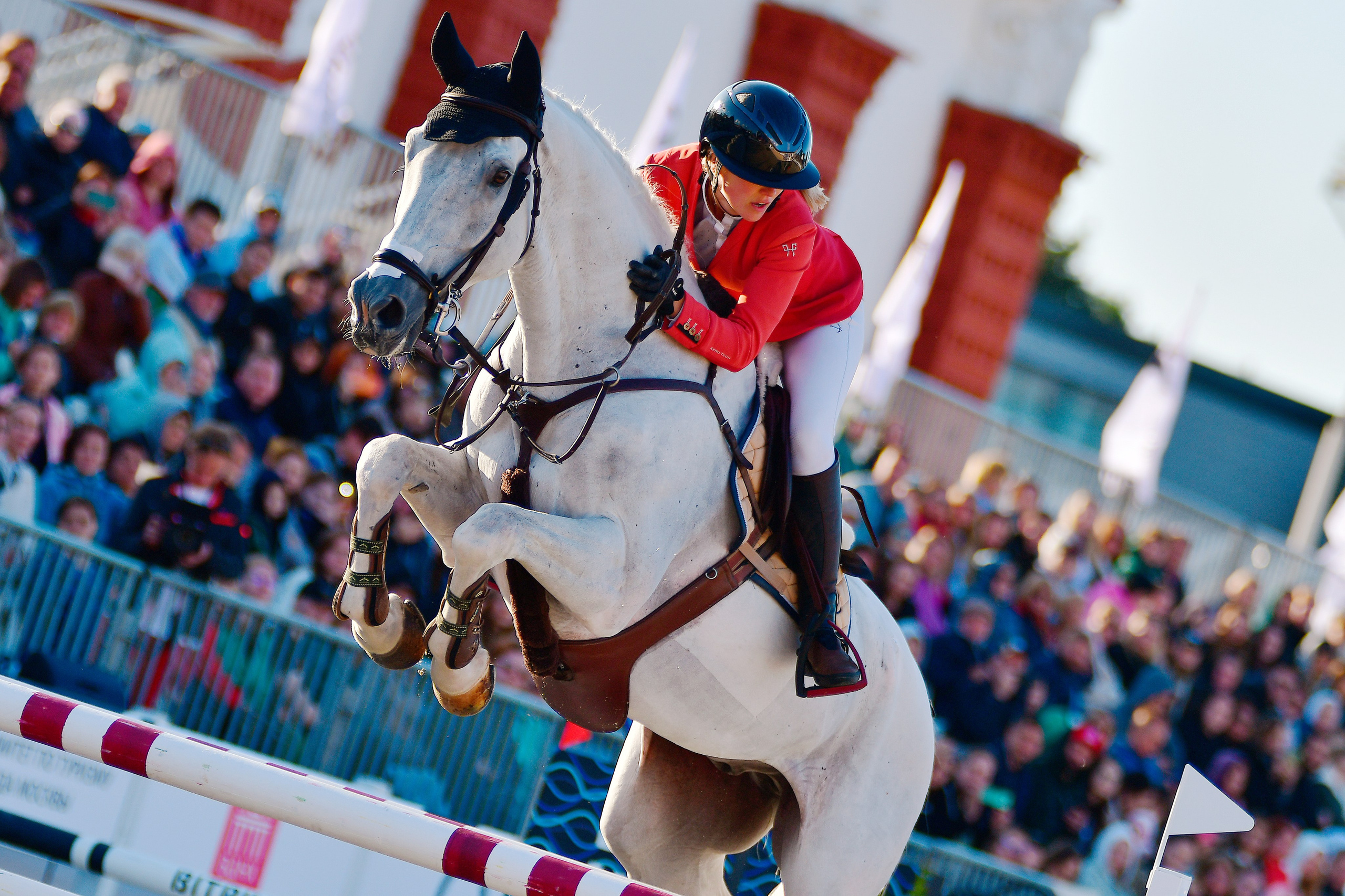 Репортаж Bitriver. Конный фотограф Alesya Safe