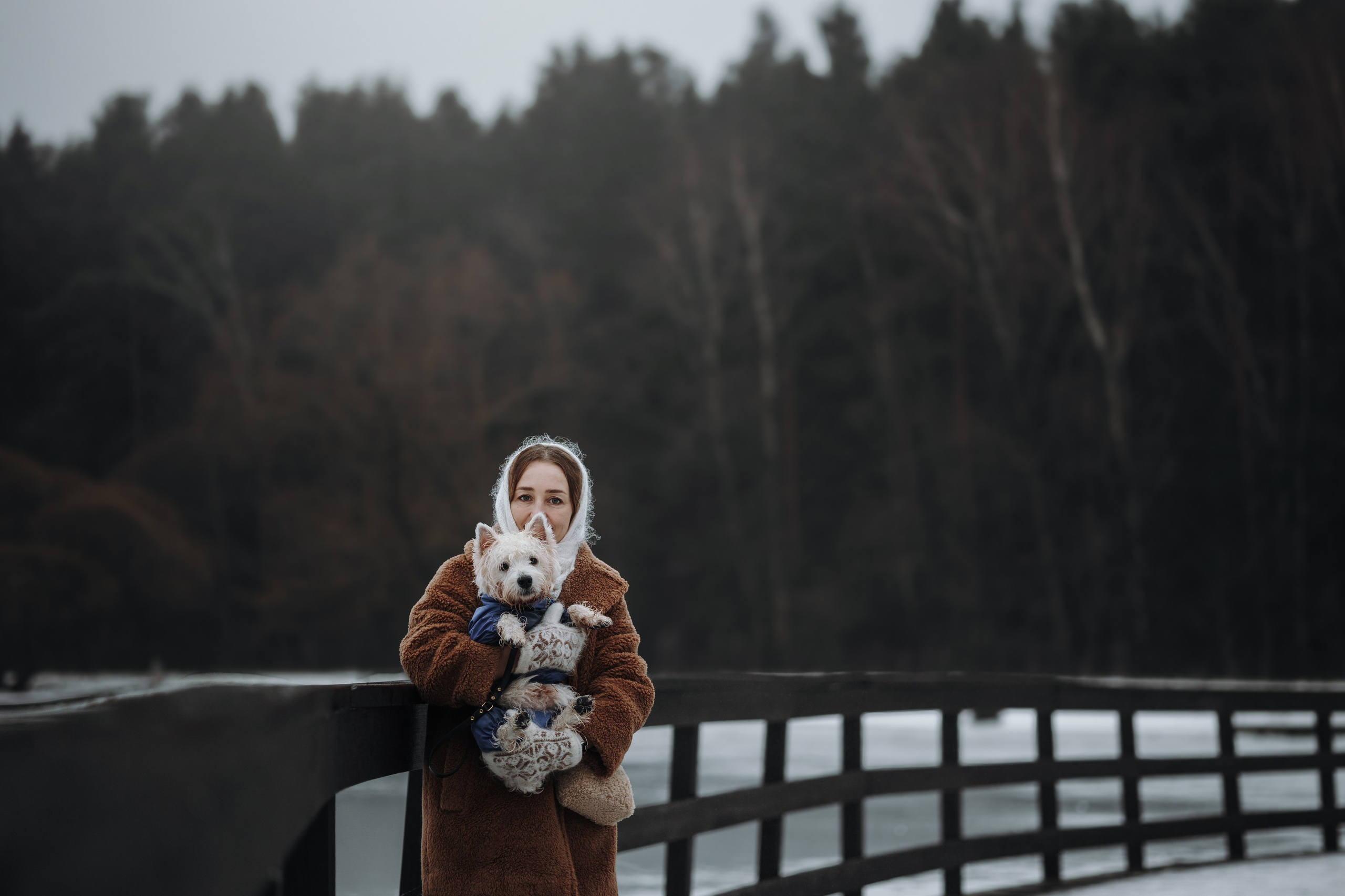 Шелби, Ватсон и ребята. Фотограф — Анималист | Санкт-Петербург