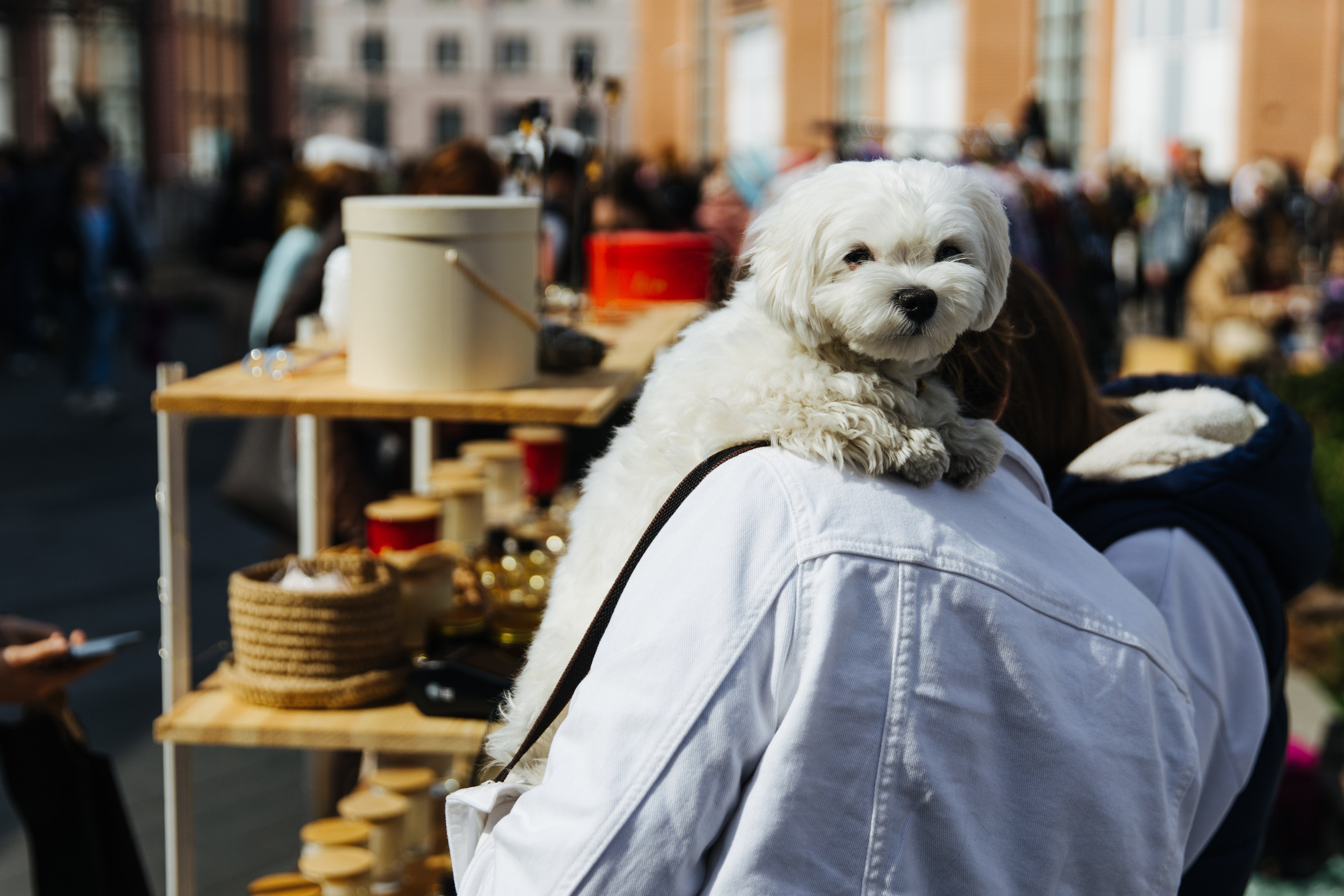 30 мая 2021 в Еврейском музее. Фотоотчеты «Ламбада-маркета»