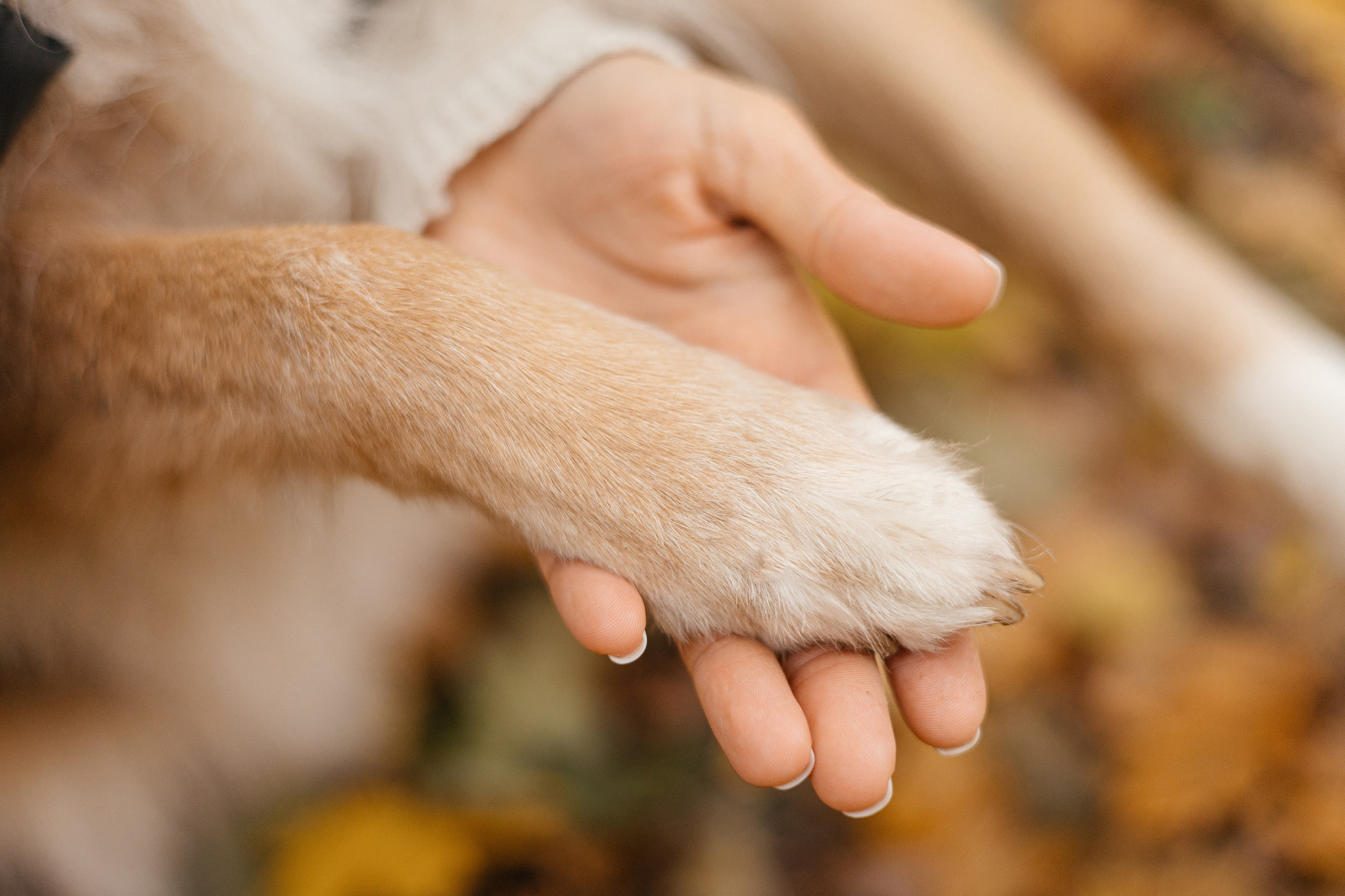 Аня и Ириска. Фотограф Анна Луценко Москва