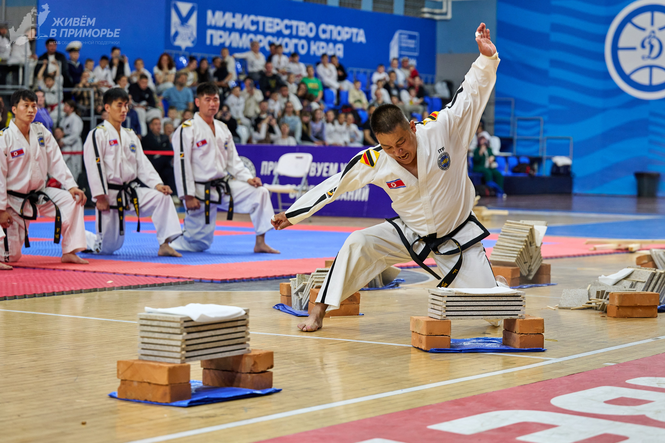 Кубок губернатора по тхэквондо. Профессиональный репортажный фотограф Инесса Иминова