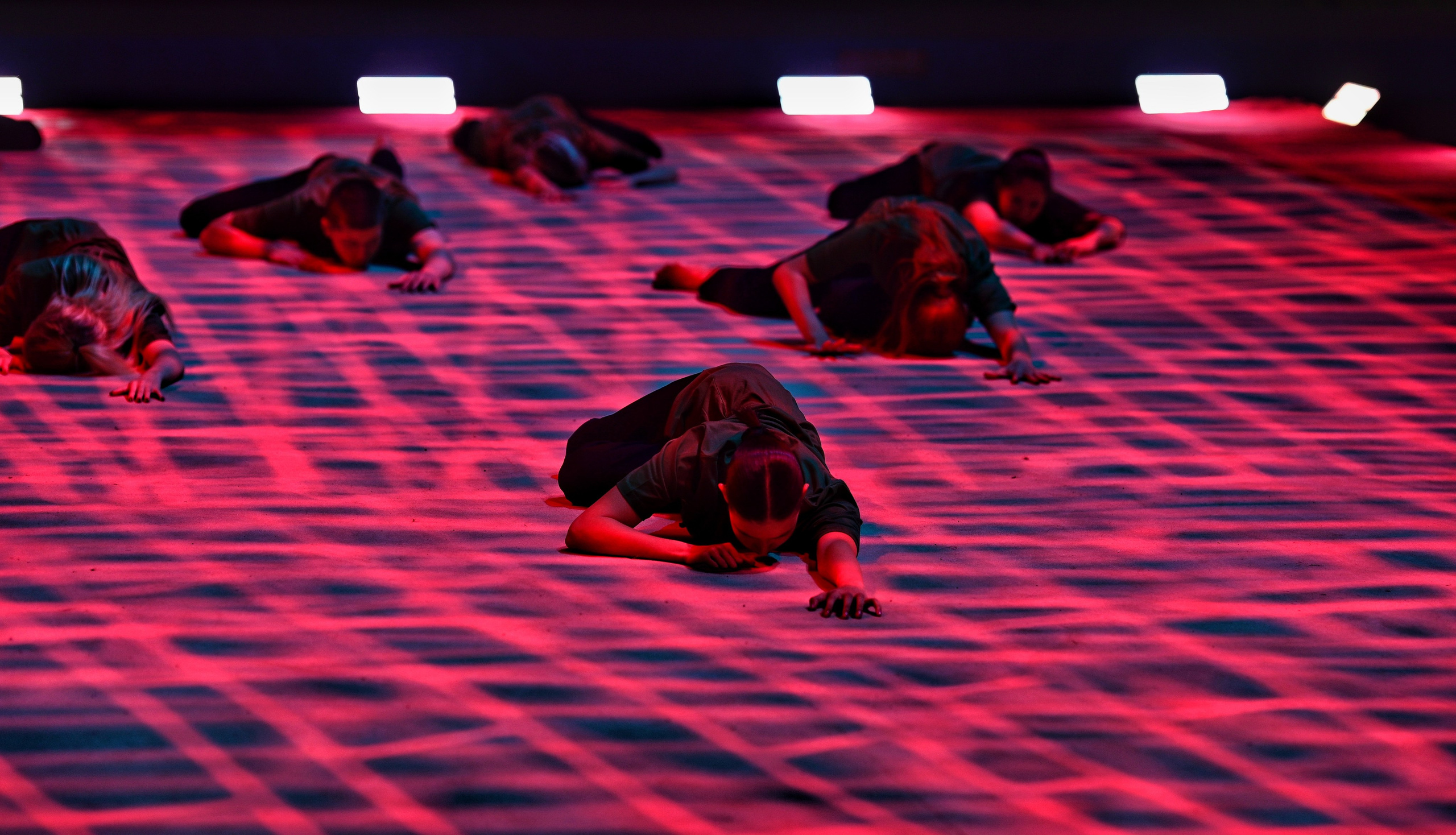 Шоу Светланы Хоркиной «Спортрота». Фотограф Ваших событий 📸