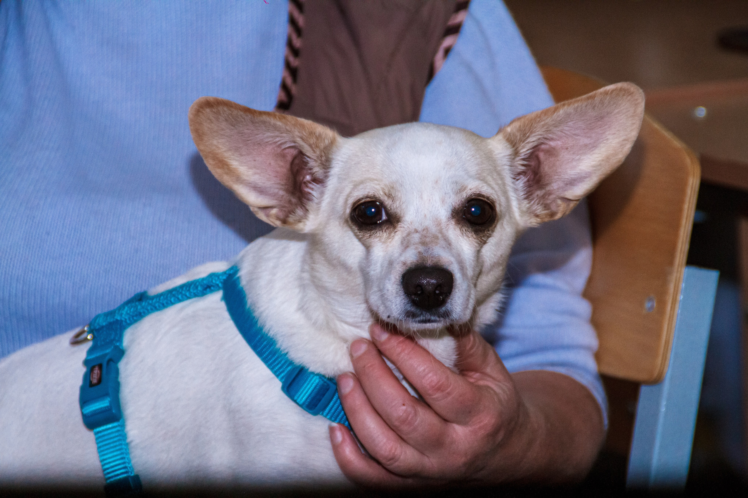 Ночь музеев в Екатеринбургской академии современного искусства2025