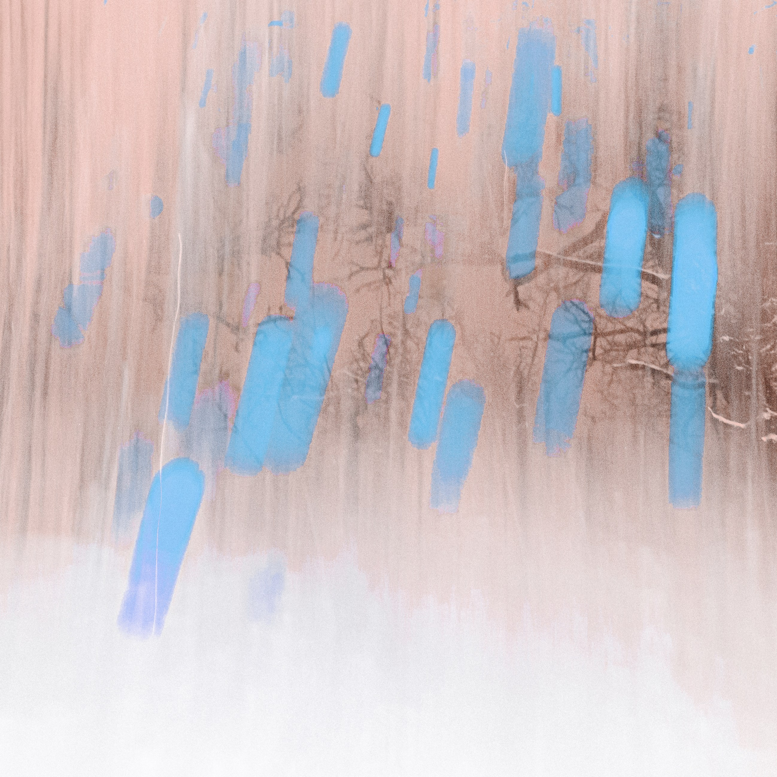 ИГГДРАСИЛЬ, 2025-2026. АННА ВЕРСО / ANNA VERSO | Визуальный художник / Visual artist