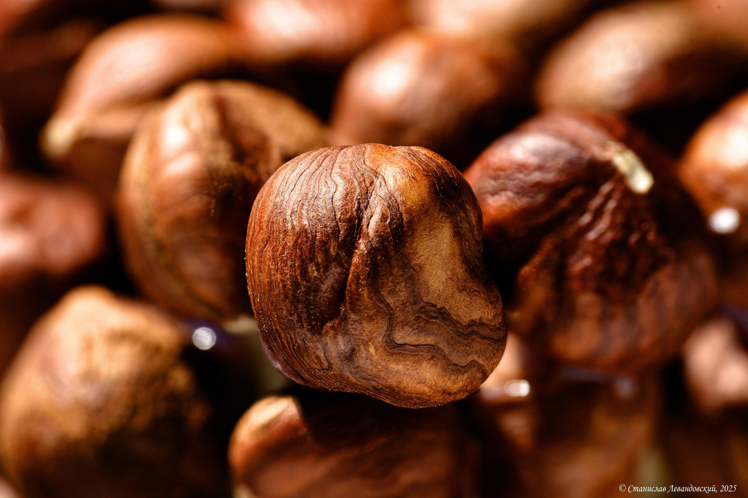 Предметы с матовой поверхностью. Предметный фотограф в Москве Станислав Левандовский