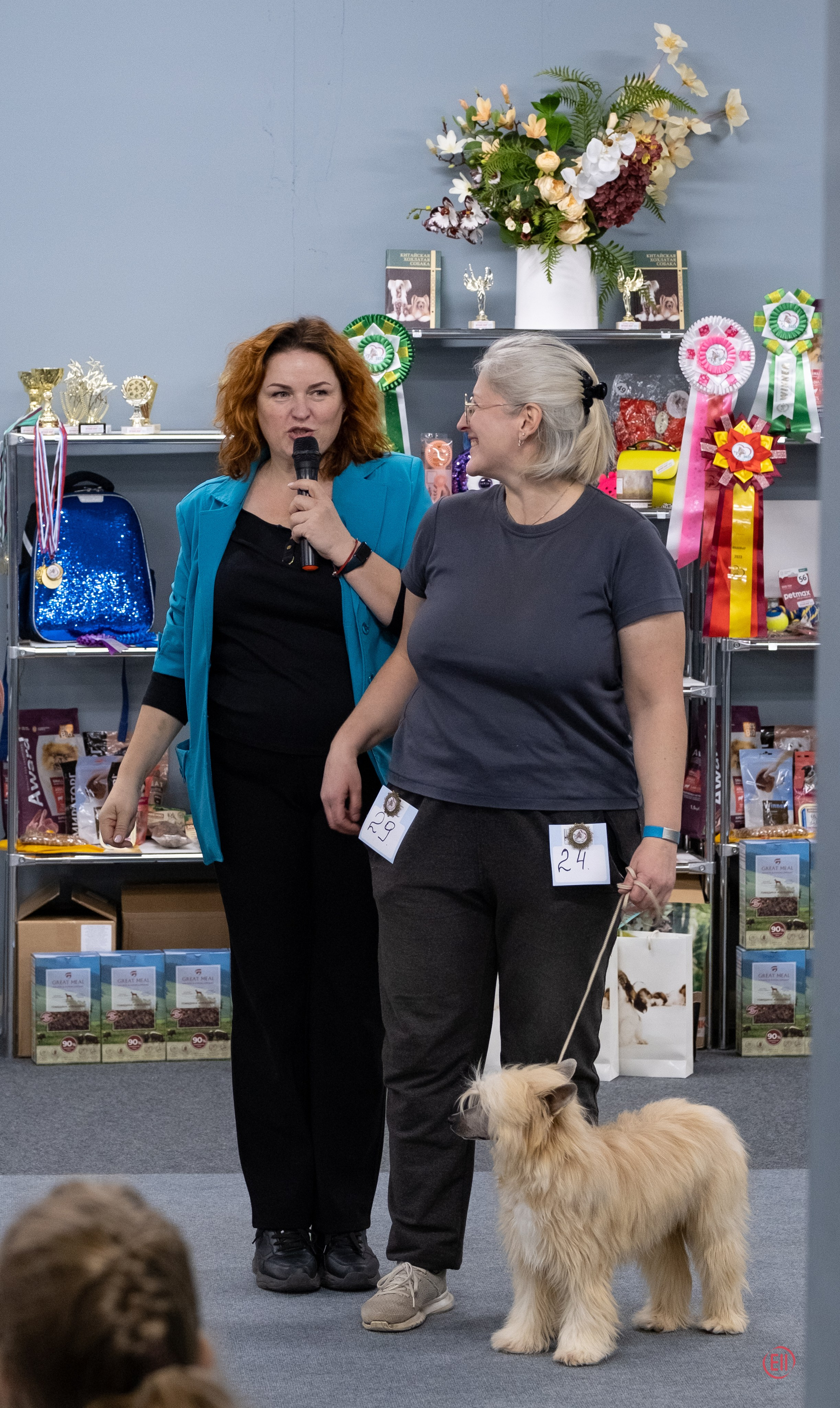 Праздник породы «Яркий мир китайских хохлатых собак». Питомник китайских хохлатых собак Poale Ell: купить щенка