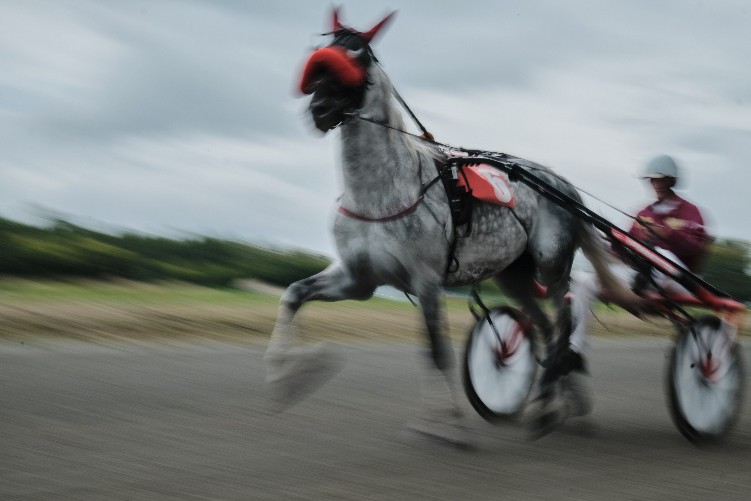 Ипподром. Goncharov Tim