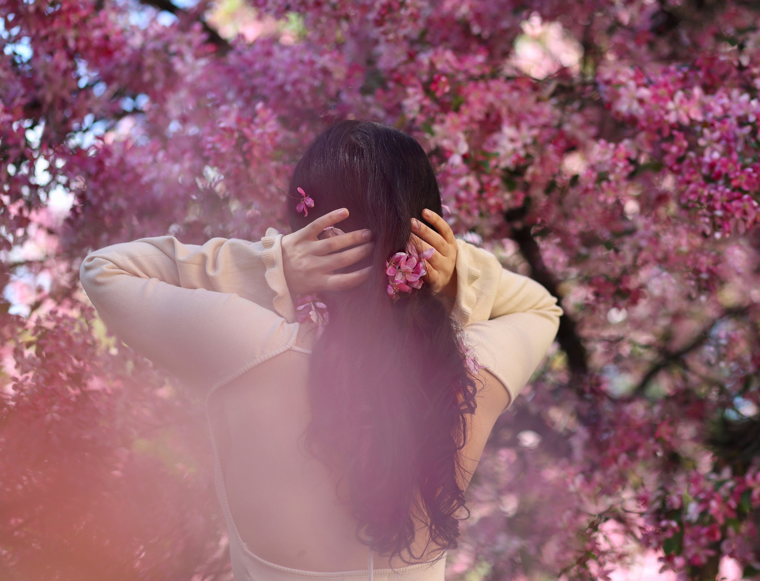 Цветение розовой яблони. Портретный фотограф Москва