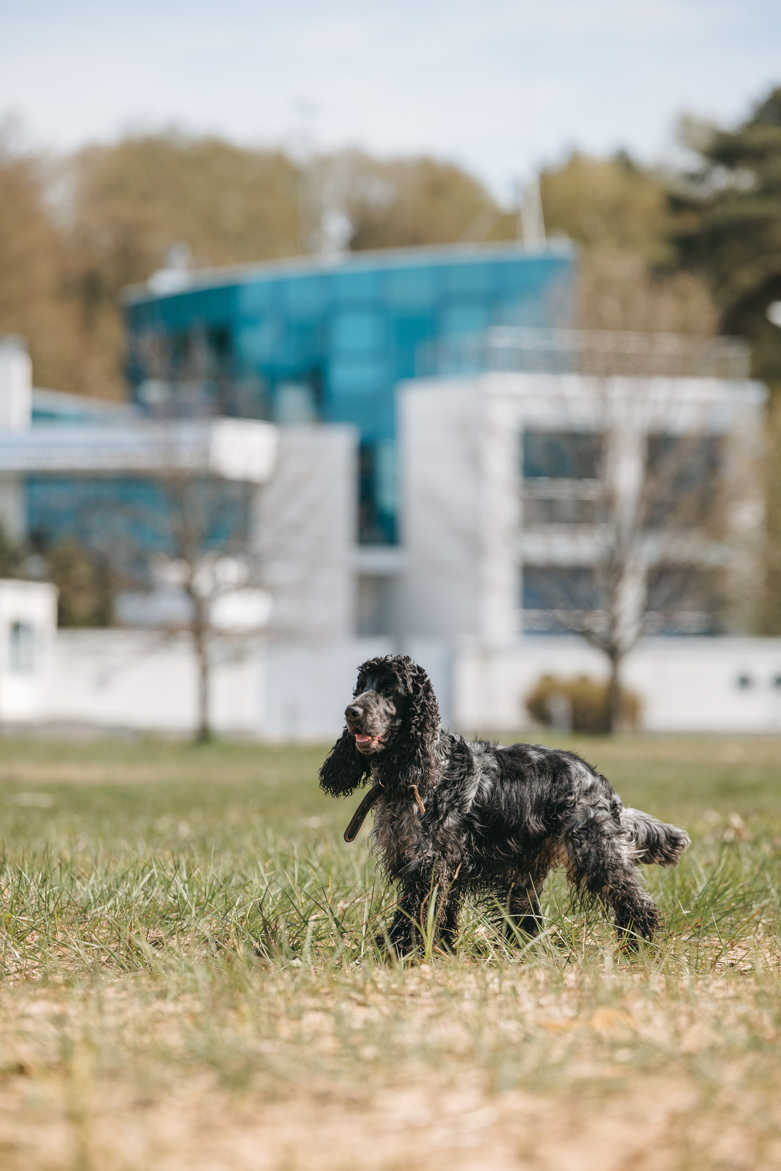 Спанимания. Фотограф анималист Осипчикова Мария