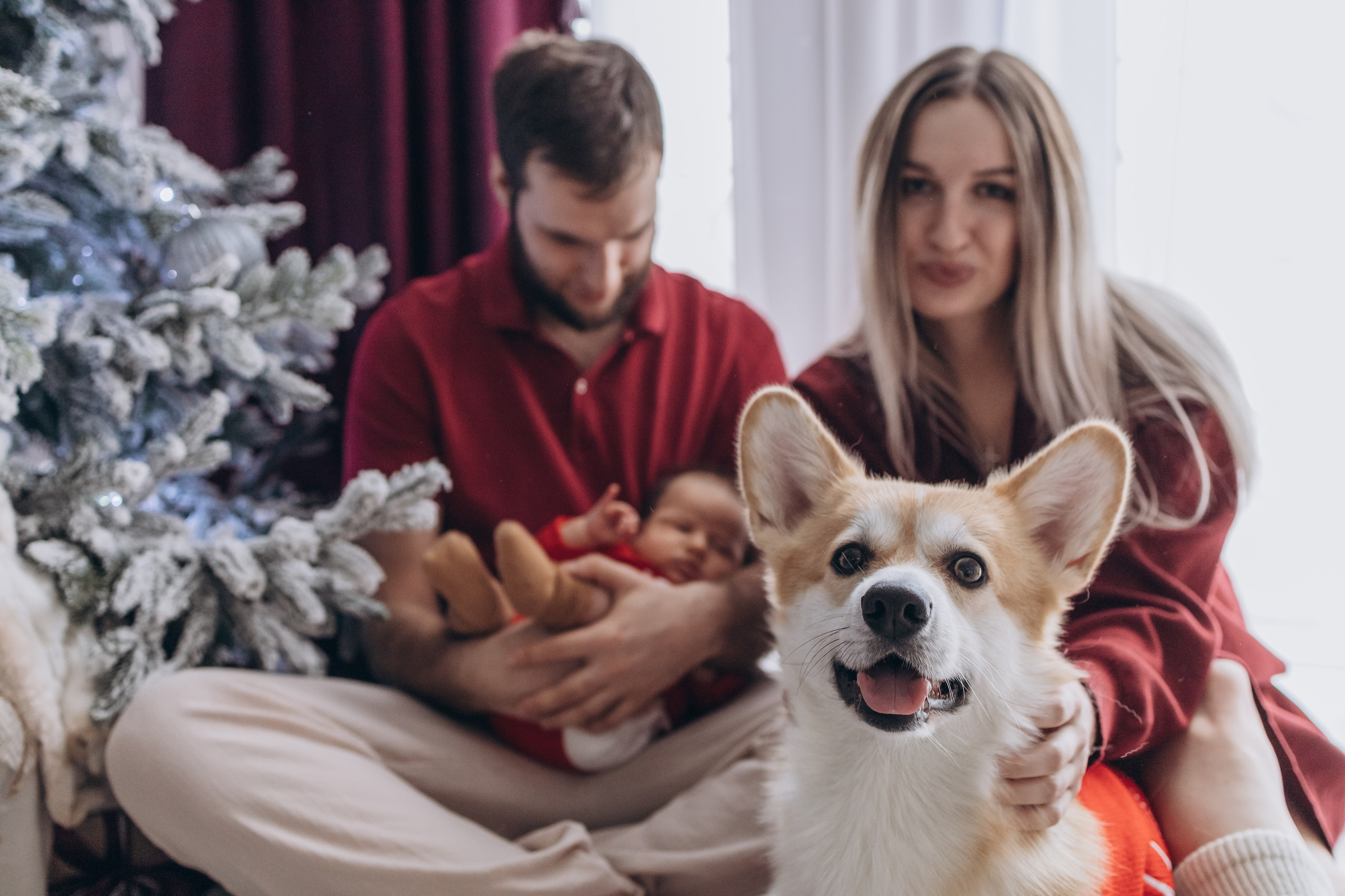 Профессиональная семейная съемка. Bayt Of Love