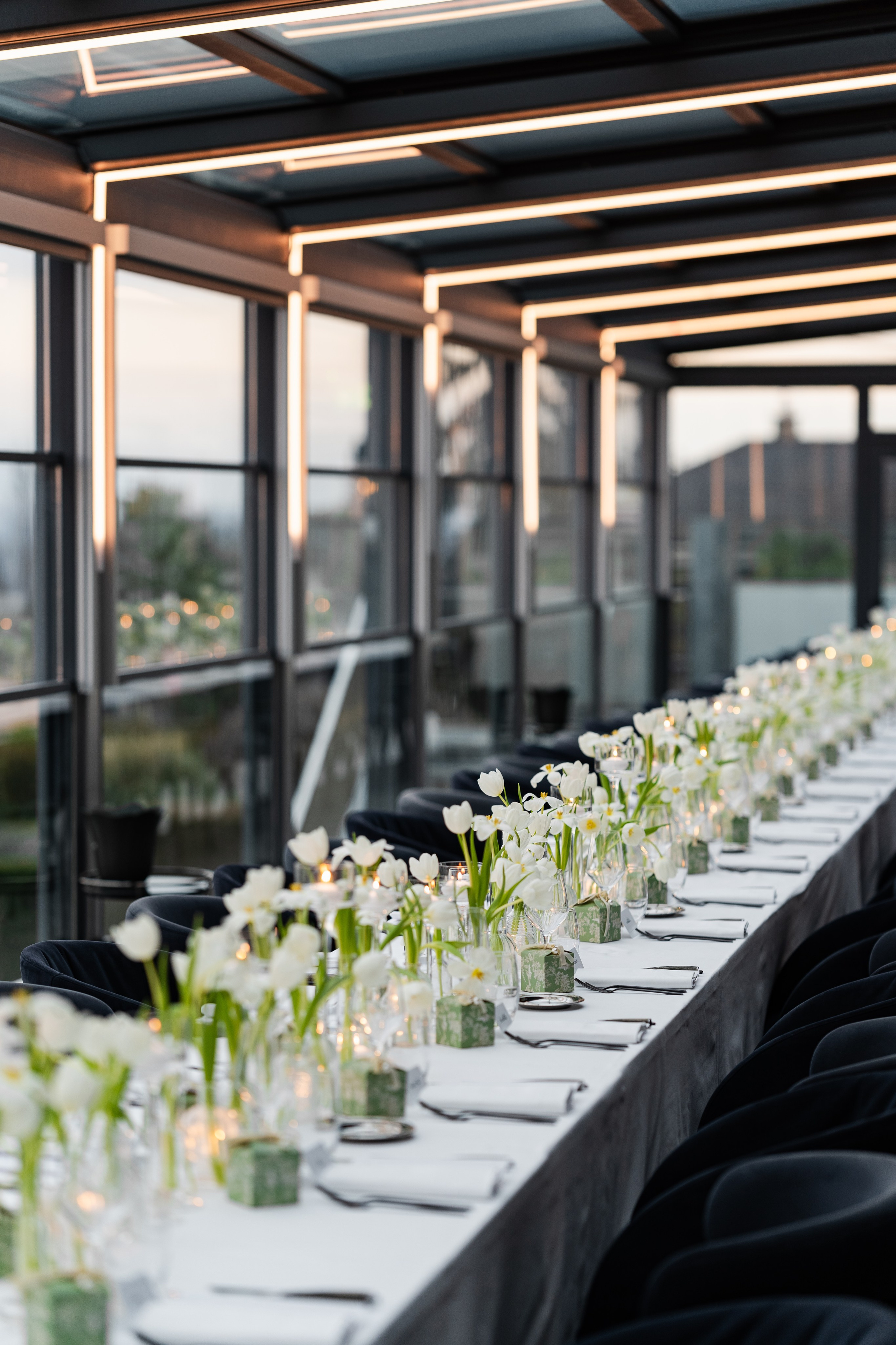 Wedding Photographer Switzerland Geneva Europe. Professional Wedding Photographer Geneva & Romande Switzerland | Tanya Creator