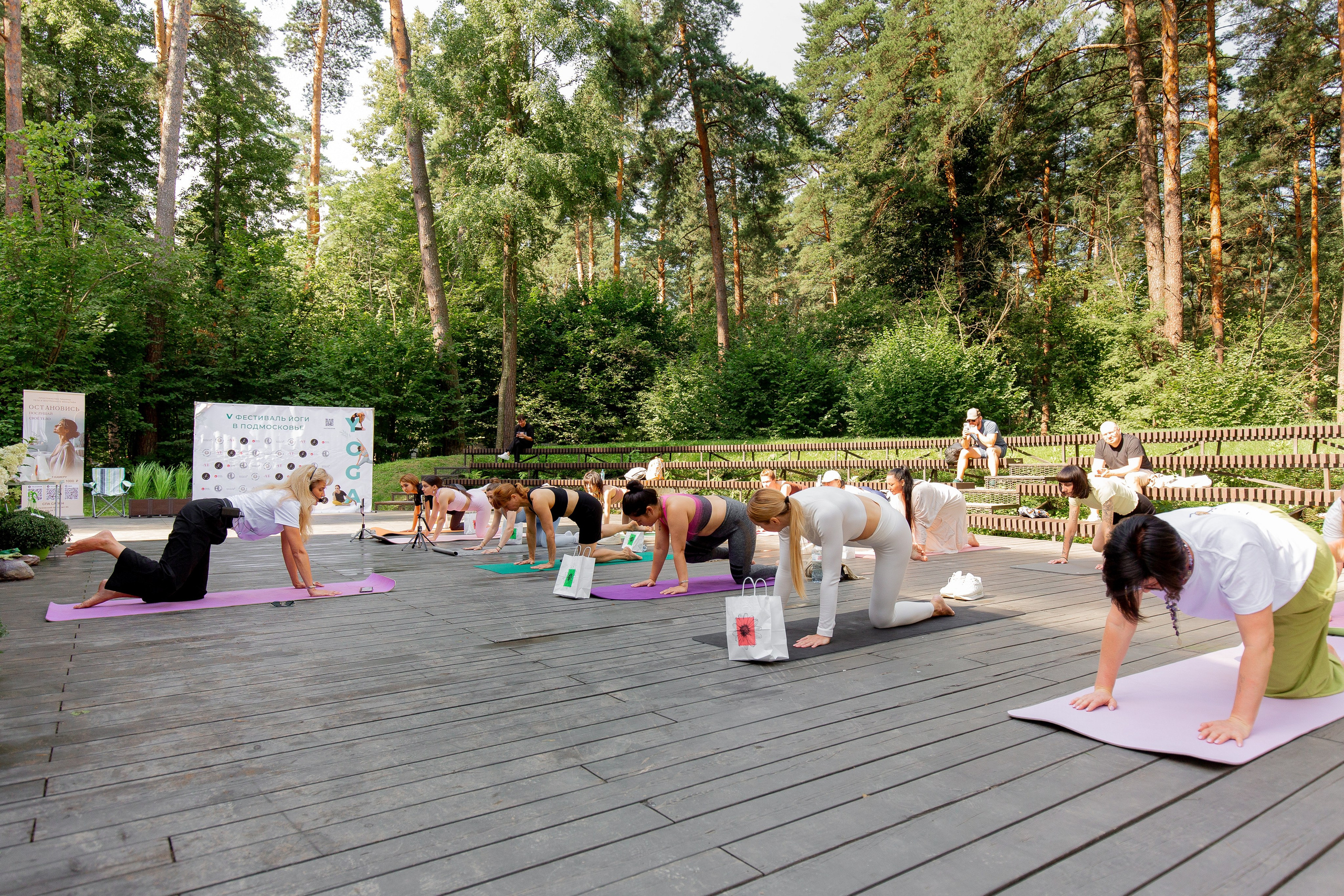 Yoga Fest. Раздолье. Фотограф Оксана Vesna