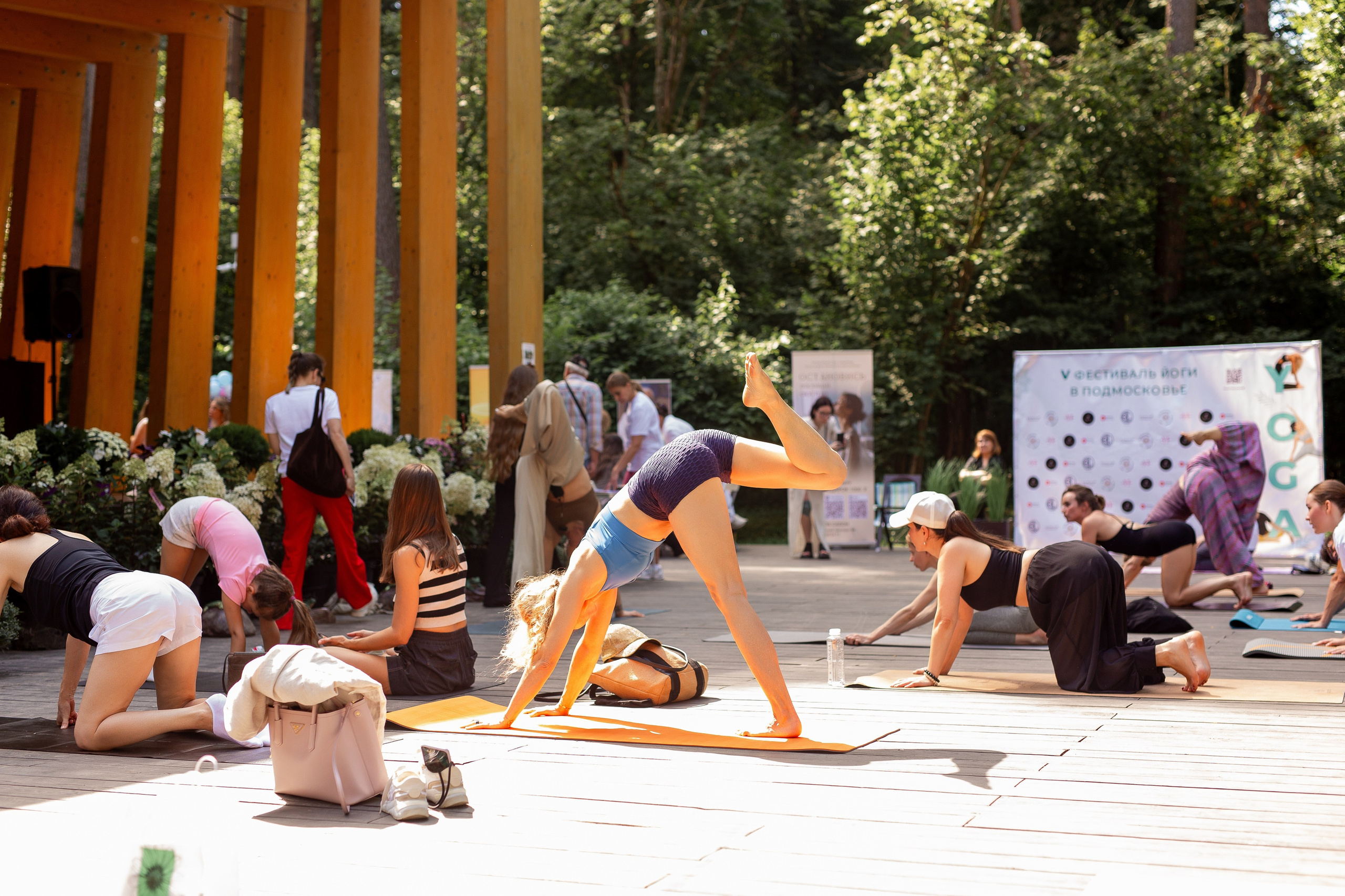 Yoga Fest. Раздолье. Фотограф Оксана Vesna