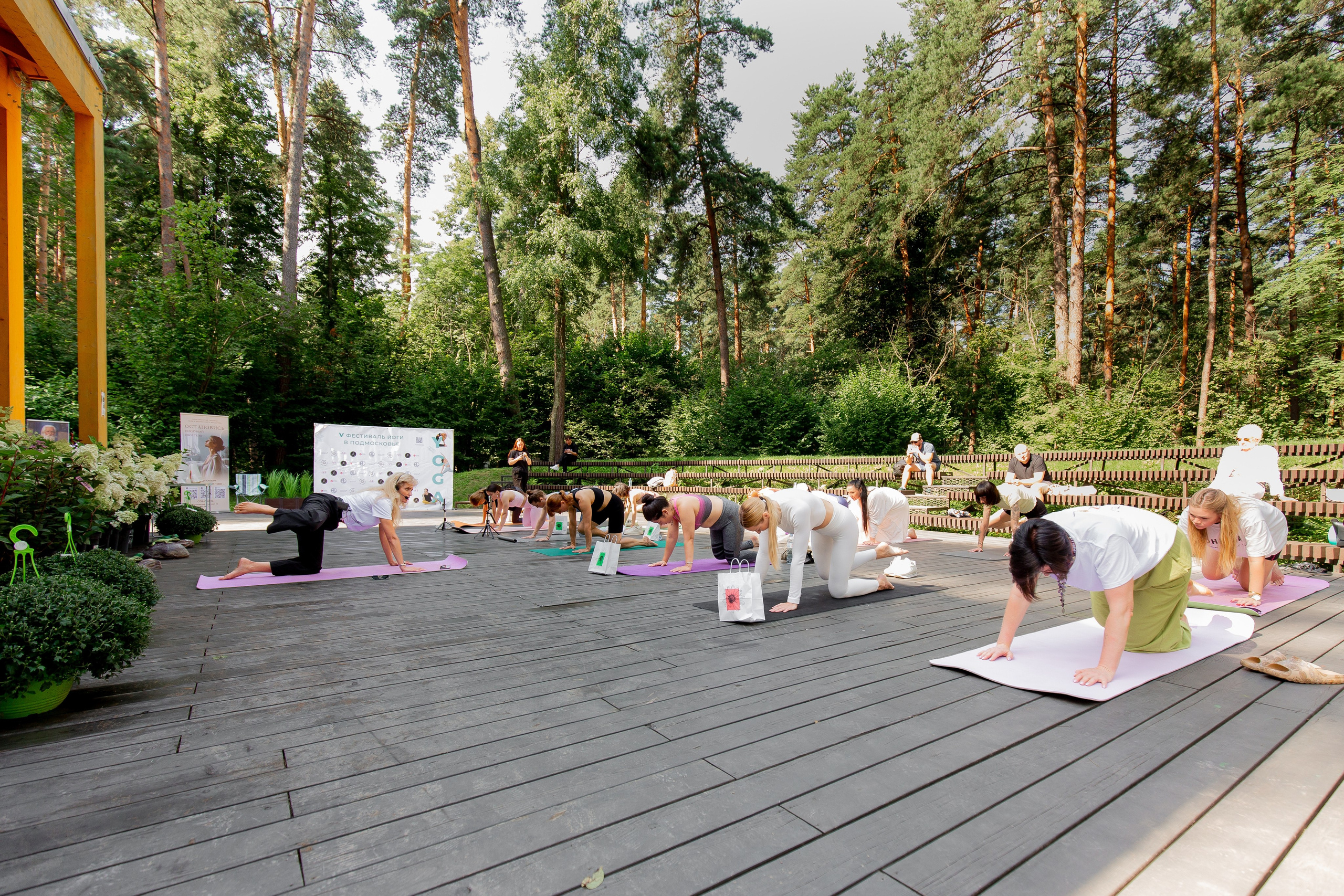 Yoga Fest. Раздолье. Фотограф Оксана Vesna